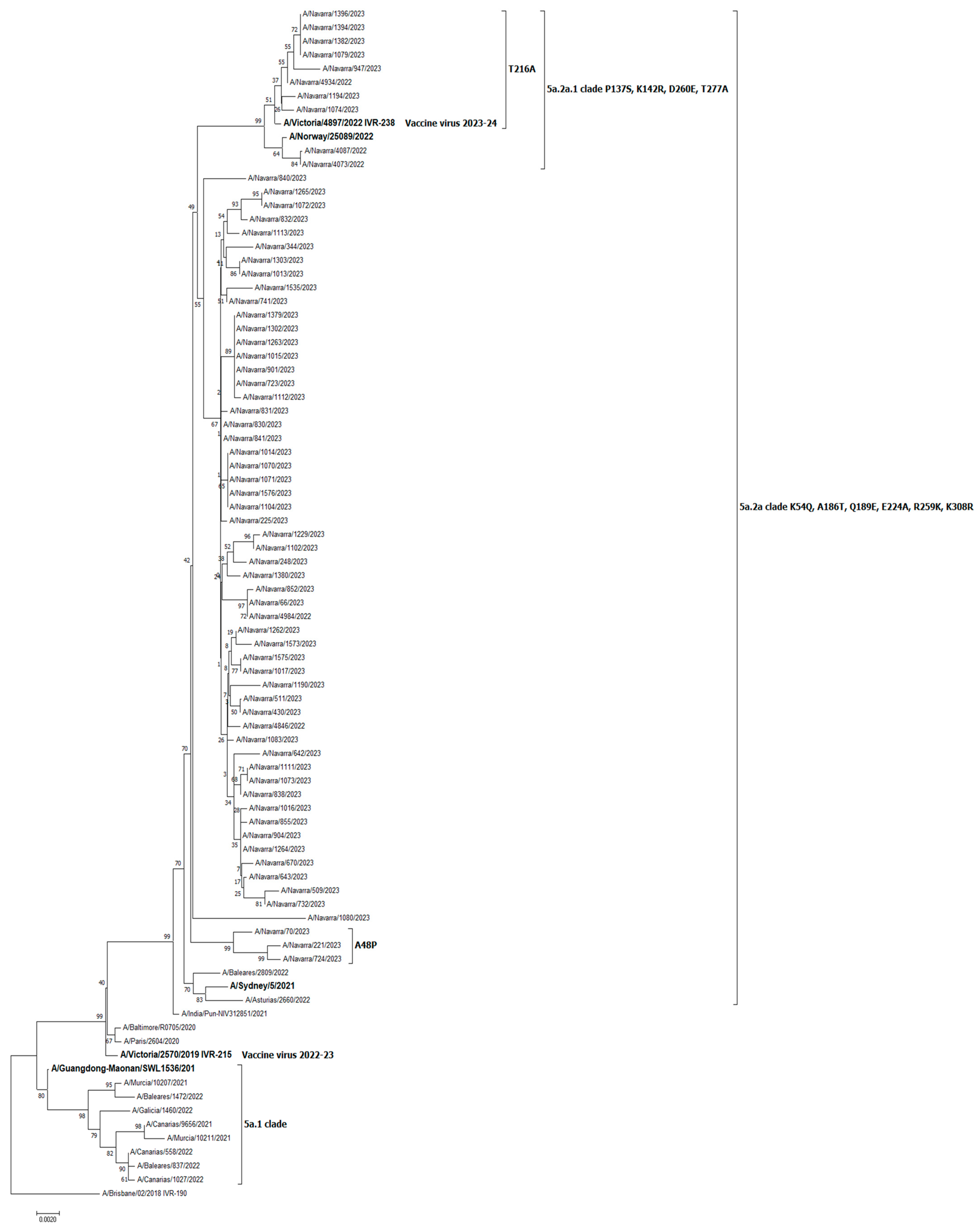 Vaccines 11 01478 g001 Vaccines 11 01478 g001