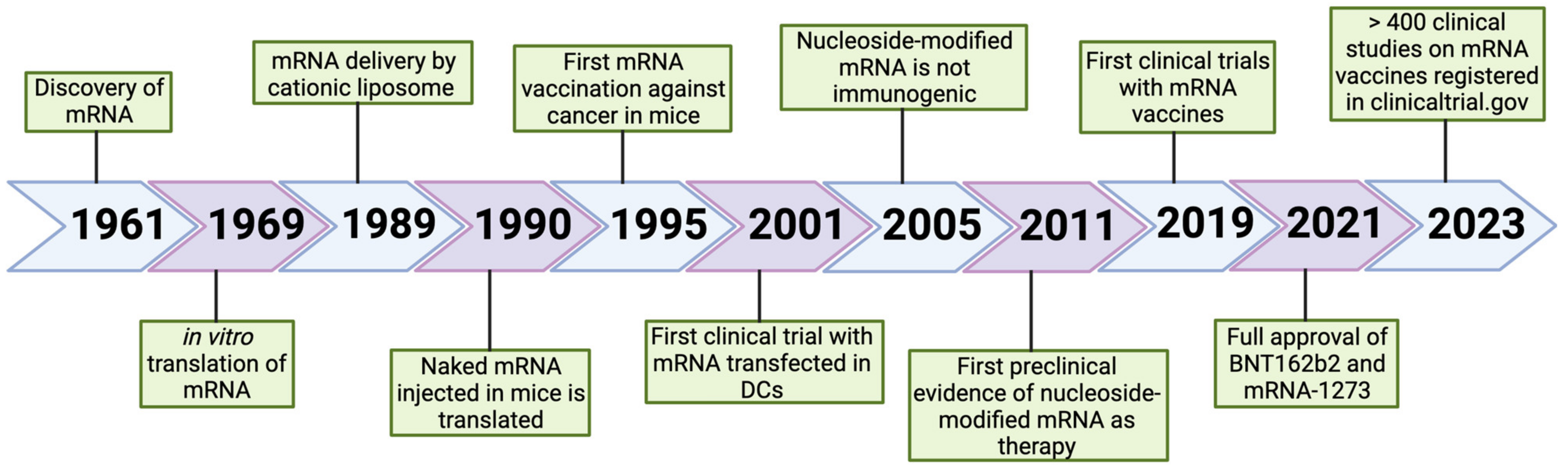Vaccines 11 01481 g003 Vaccines 11 01481 g003