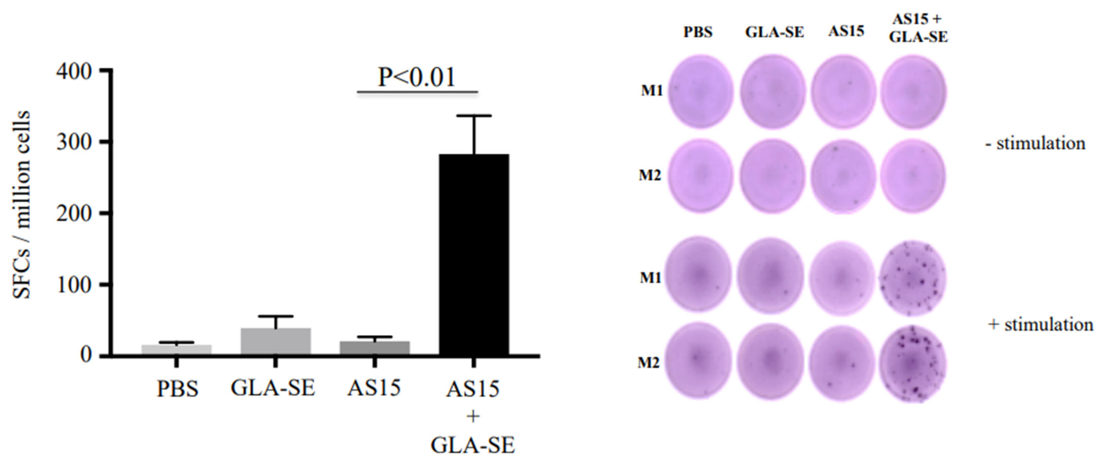 Vaccines 11 01485 g001 Vaccines 11 01485 g001