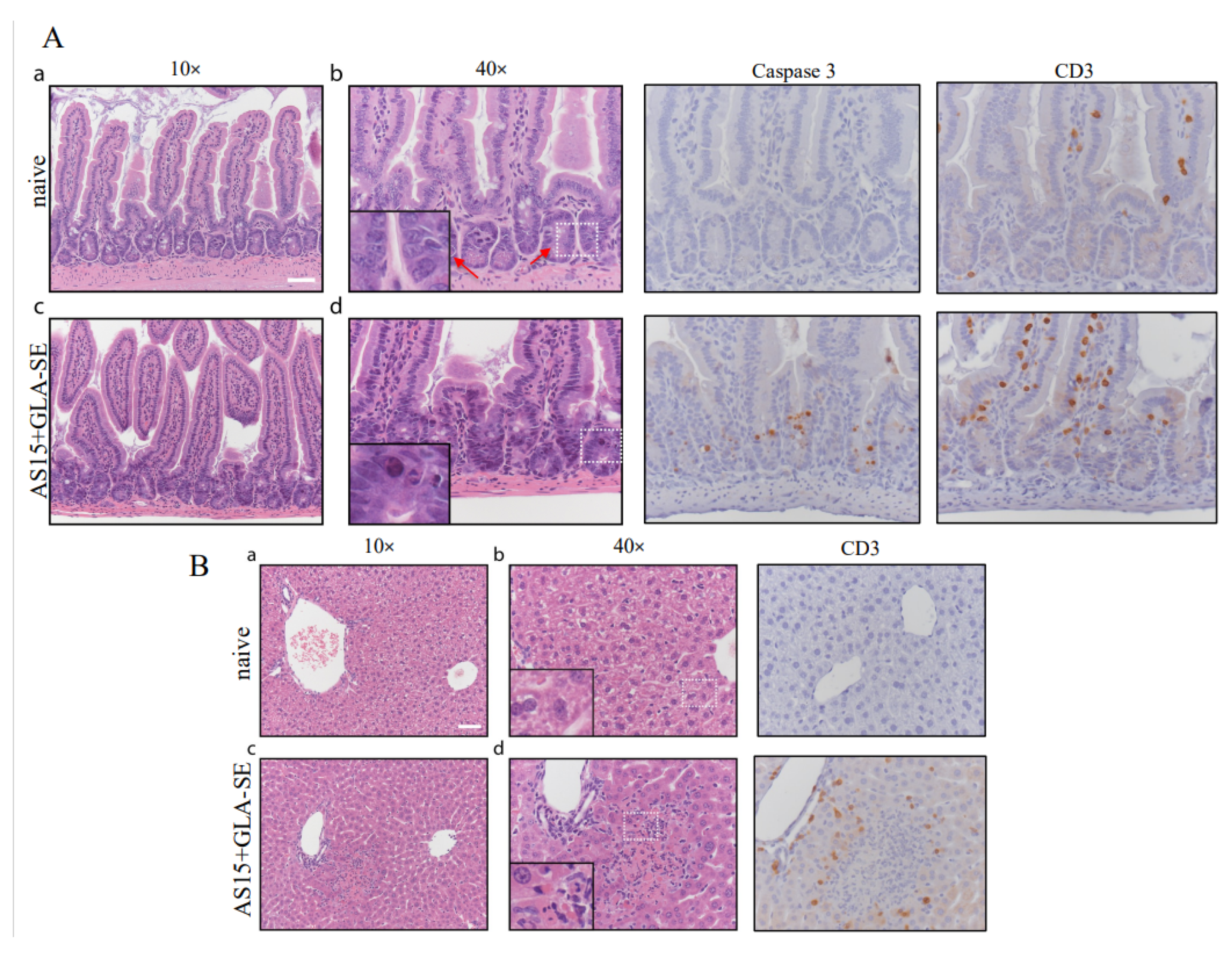Vaccines 11 01485 g008 Vaccines 11 01485 g008