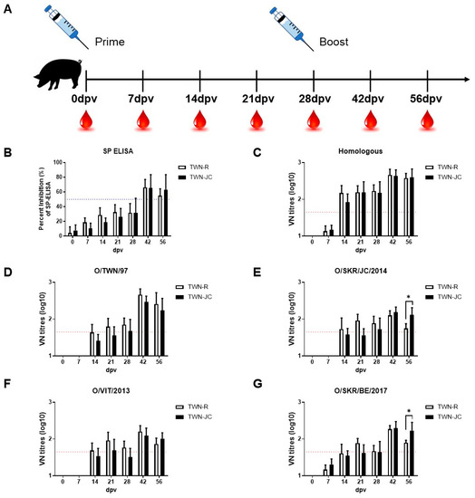 Serological Conversion through a Second Exposure to