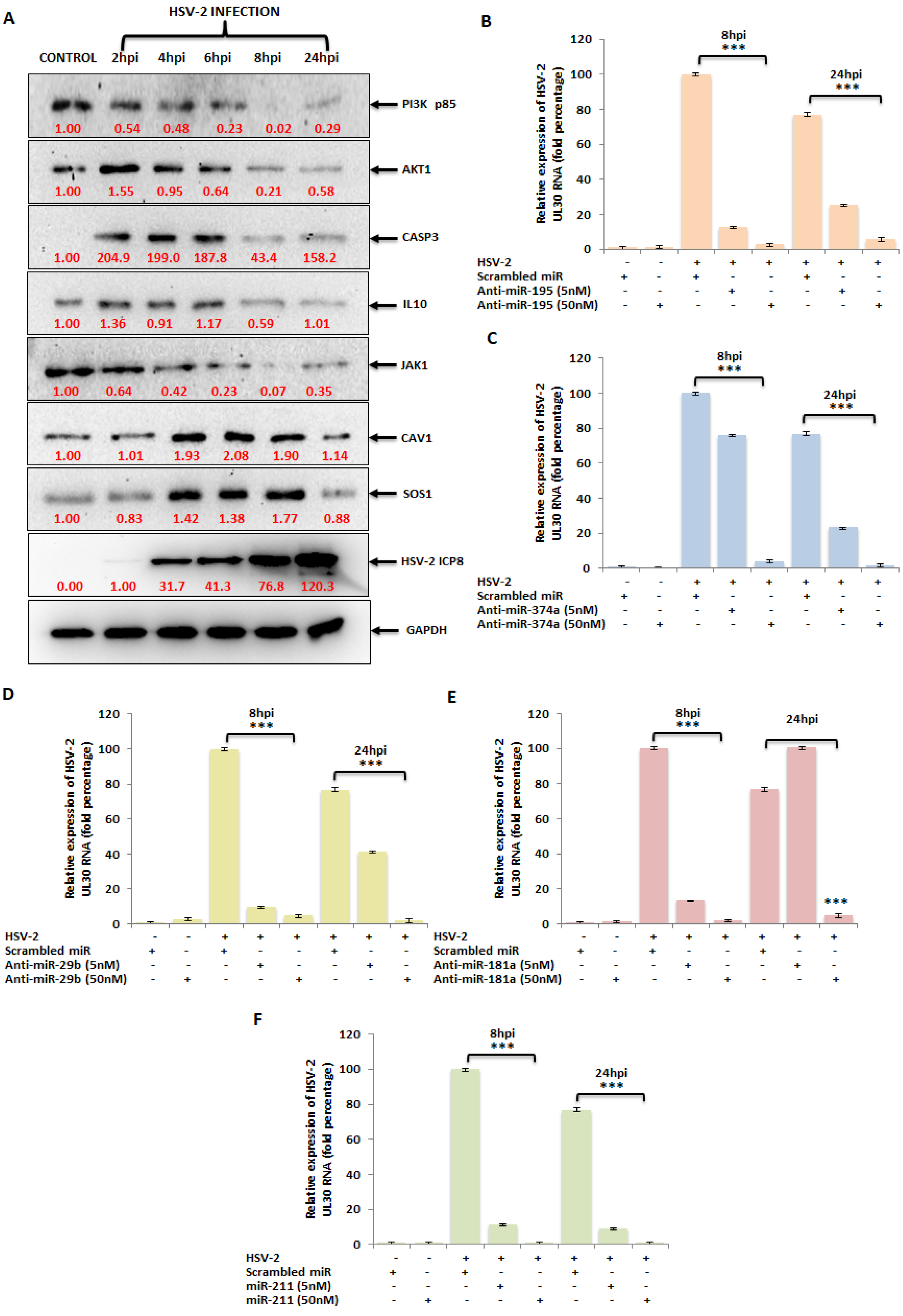 Vaccines 11 01488 g005