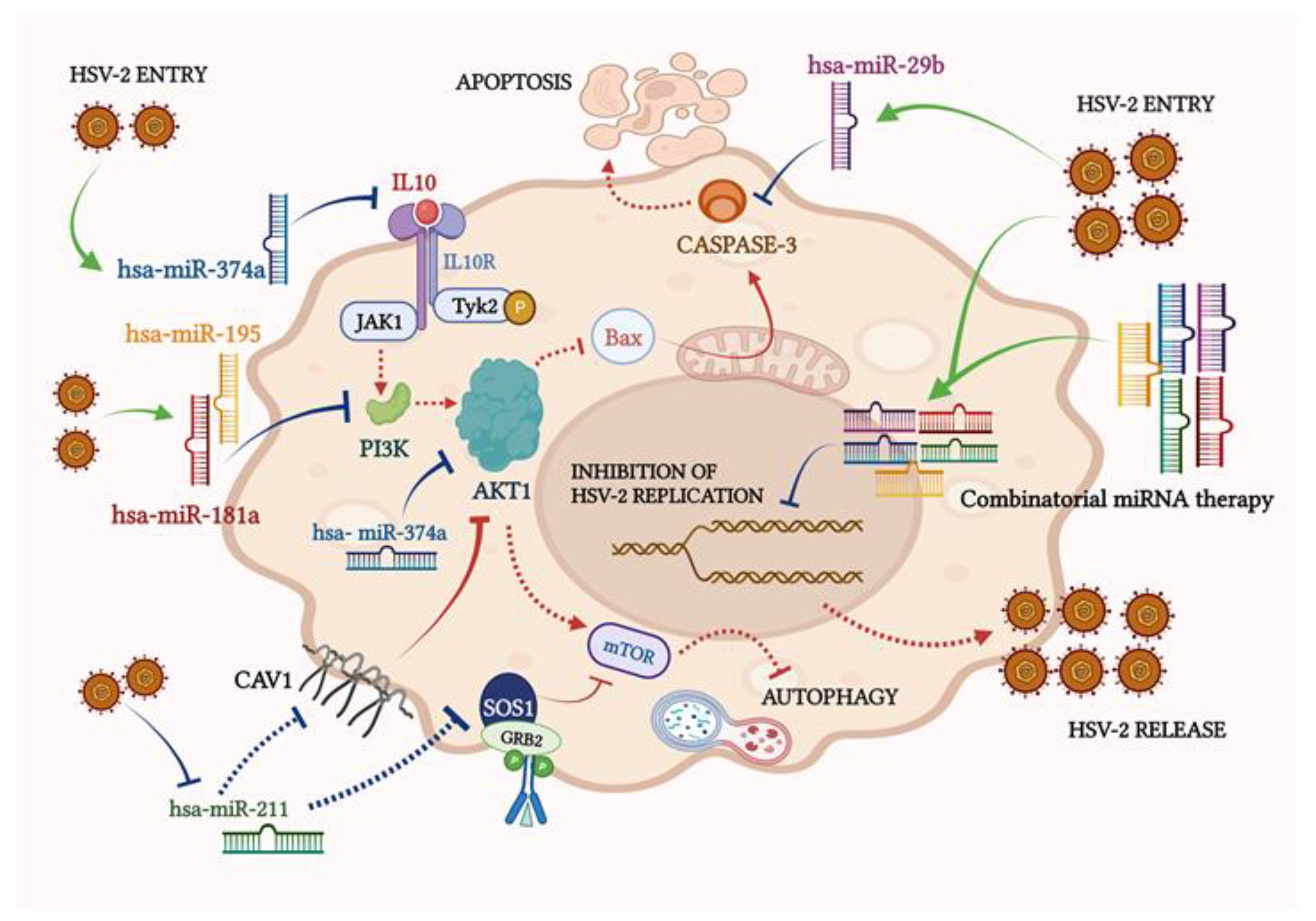 Vaccines 11 01488 g008