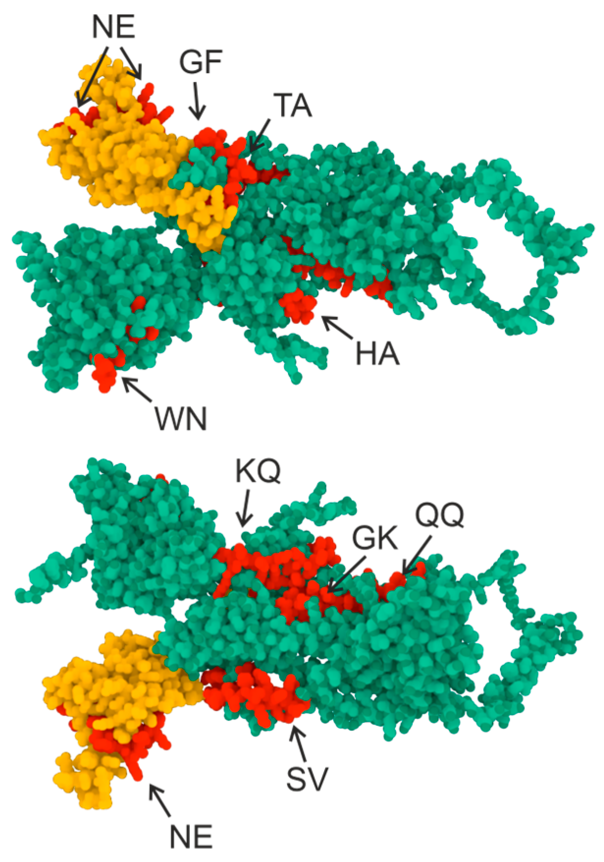Vaccines 11 01494 g002