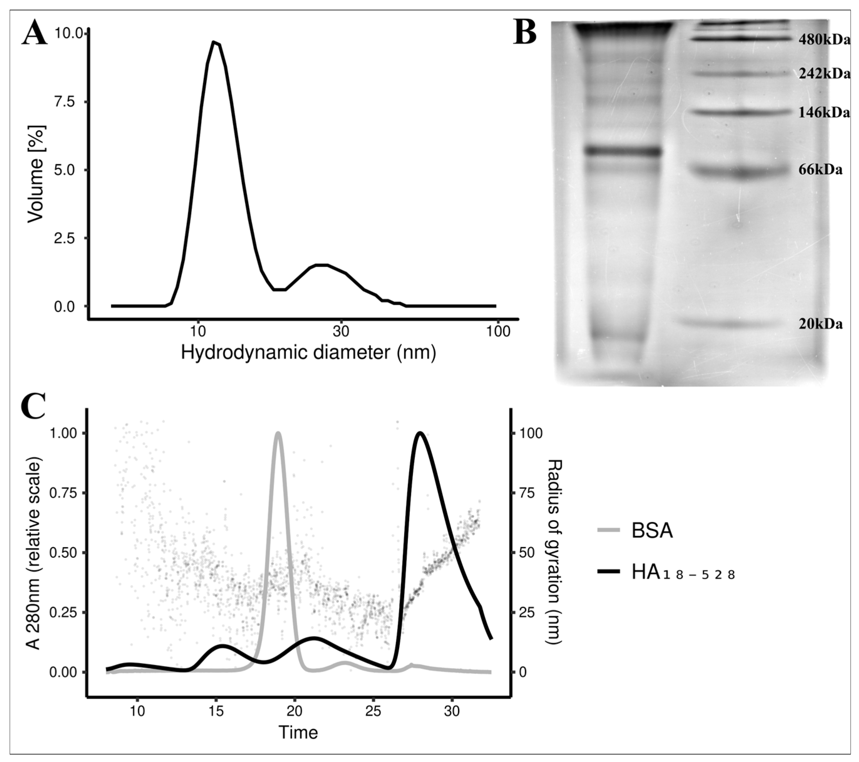 Vaccines 11 01520 g005 Vaccines 11 01520 g005