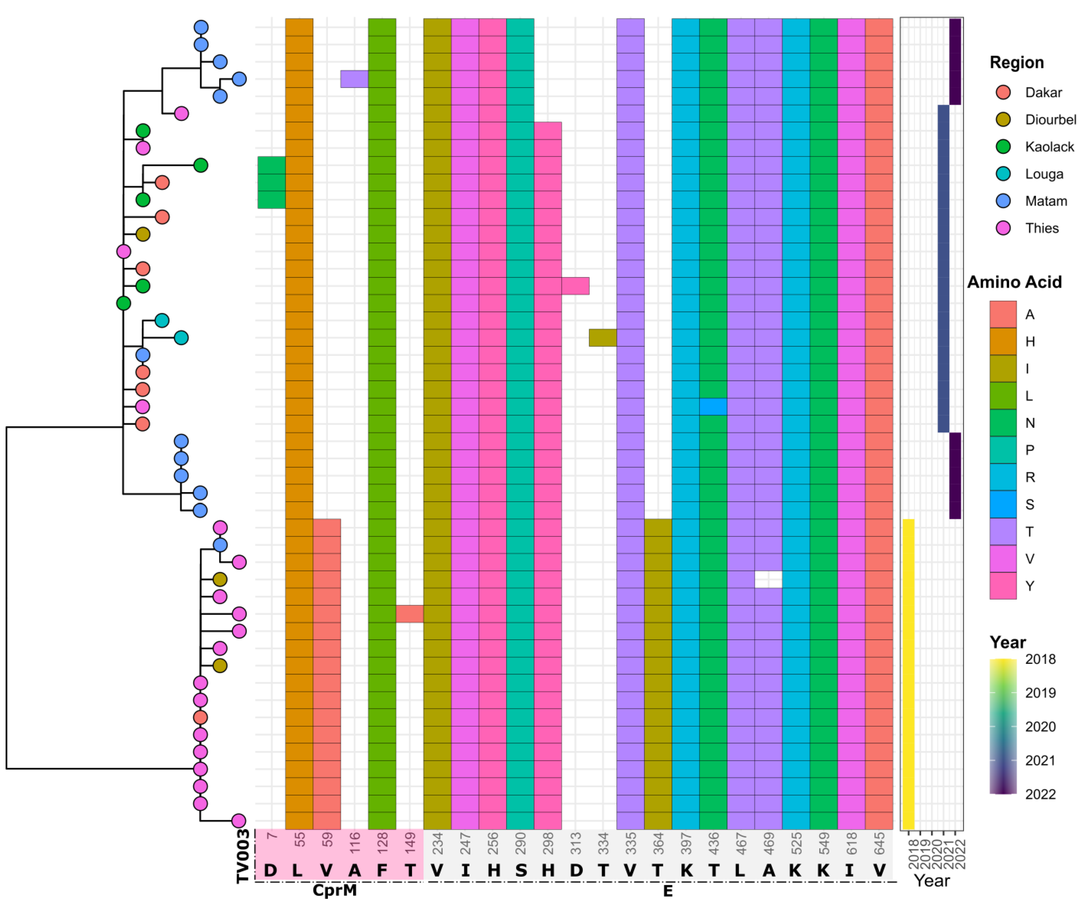Vaccines 11 01537 g009