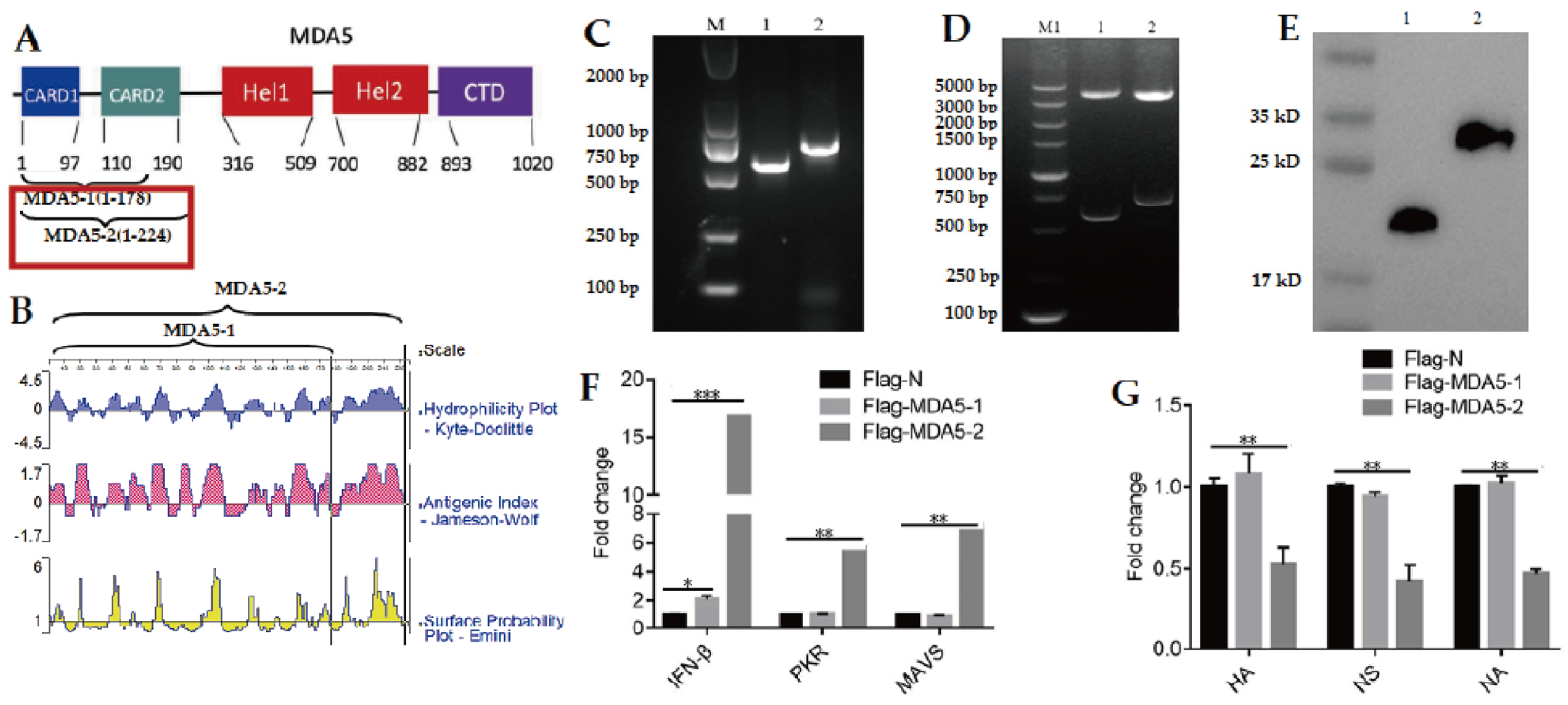 Vaccines 11 01542 g001 Vaccines 11 01542 g001