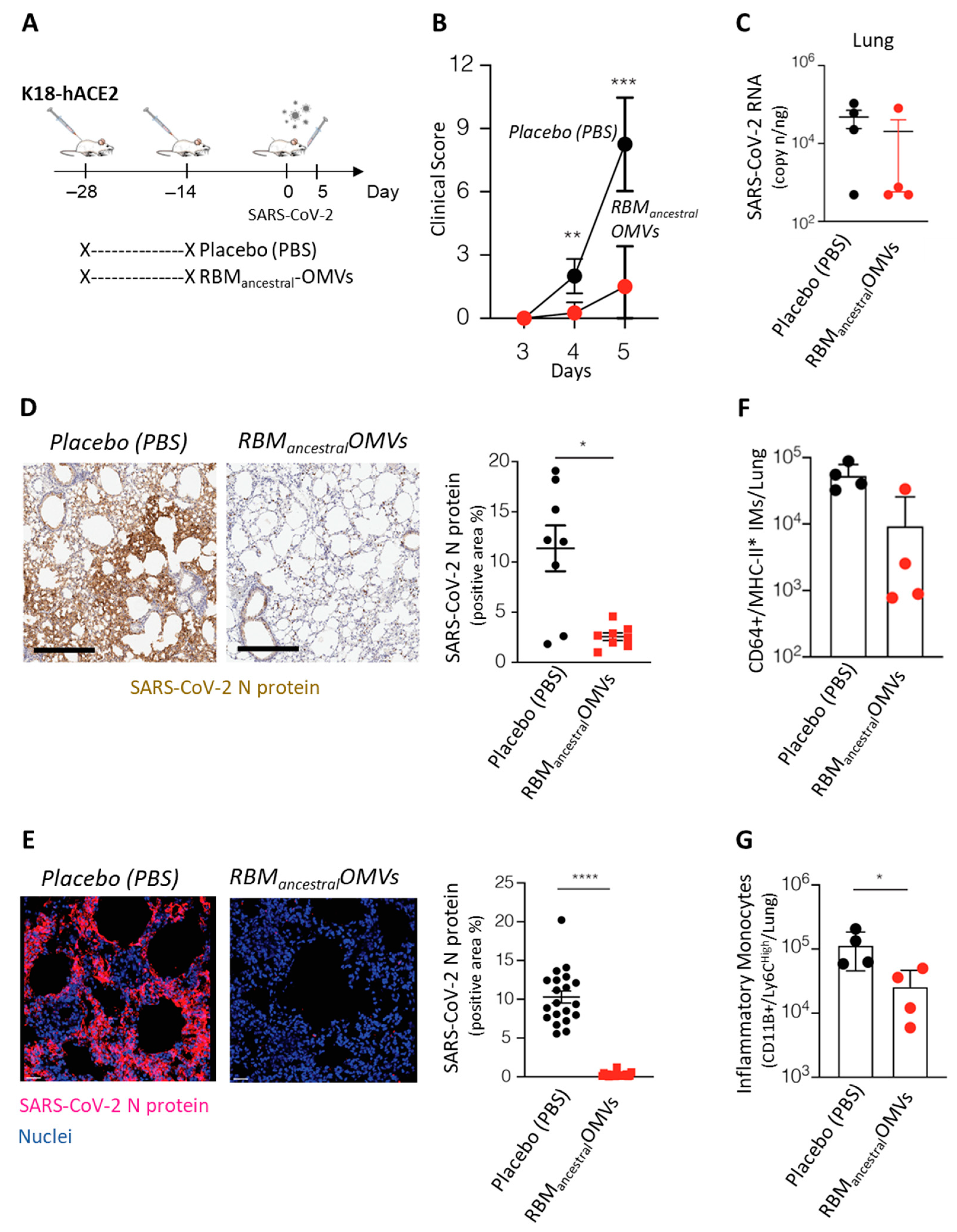 Vaccines 11 01546 g003