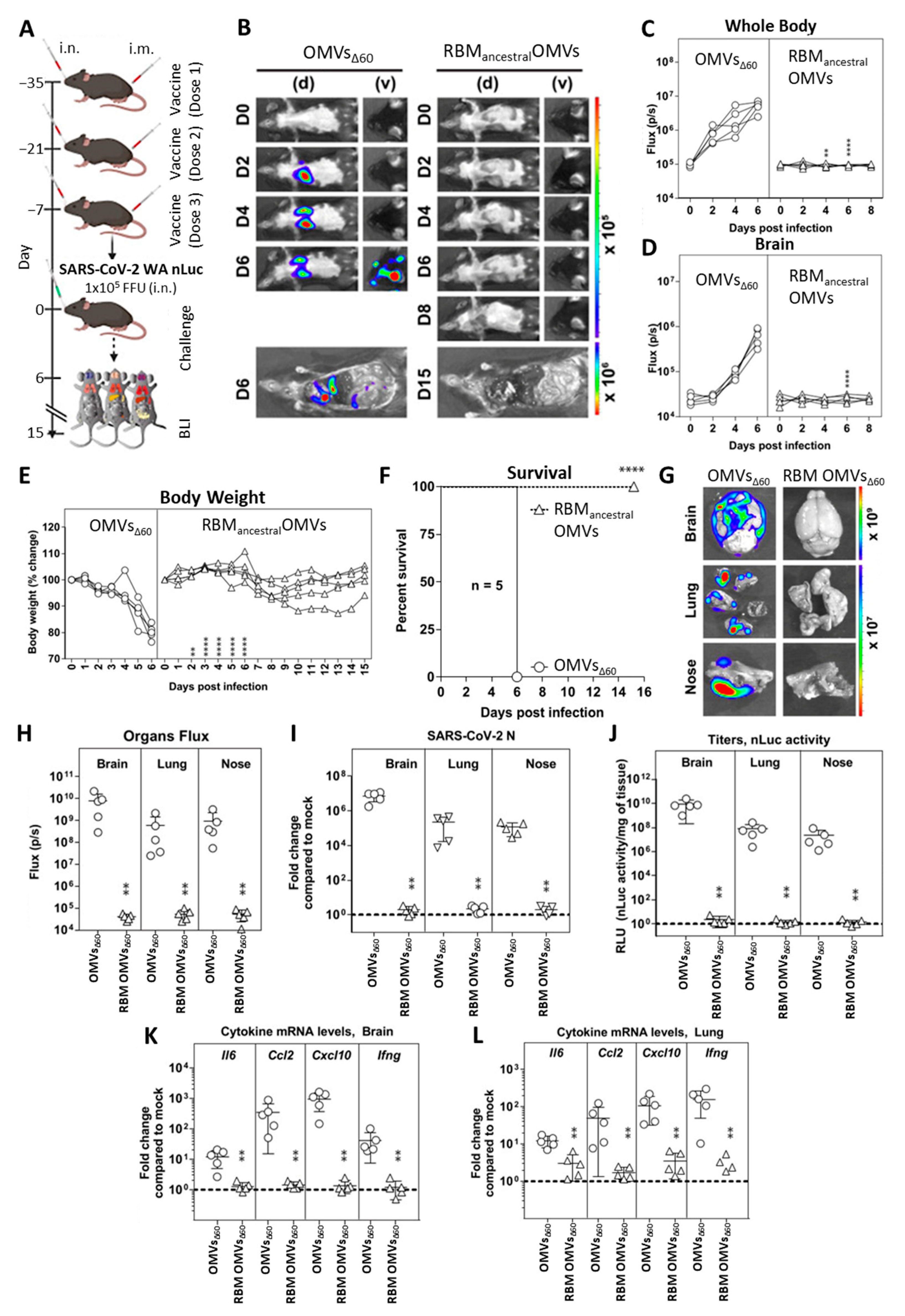 Vaccines 11 01546 g004