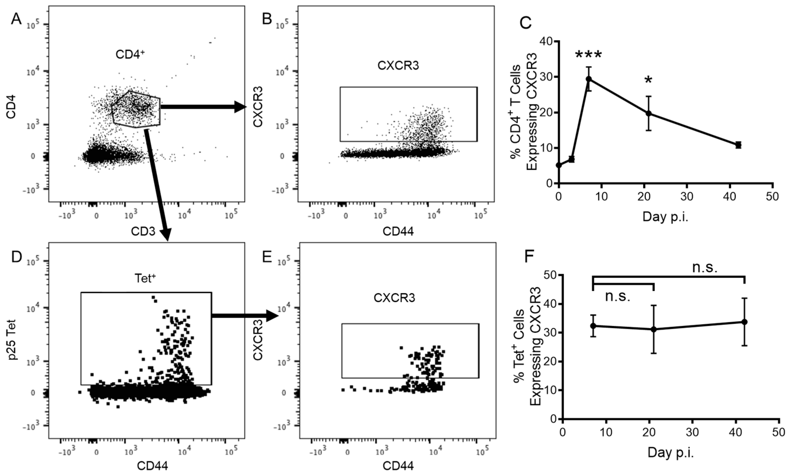 Vaccines 11 01549 g001 Vaccines 11 01549 g001