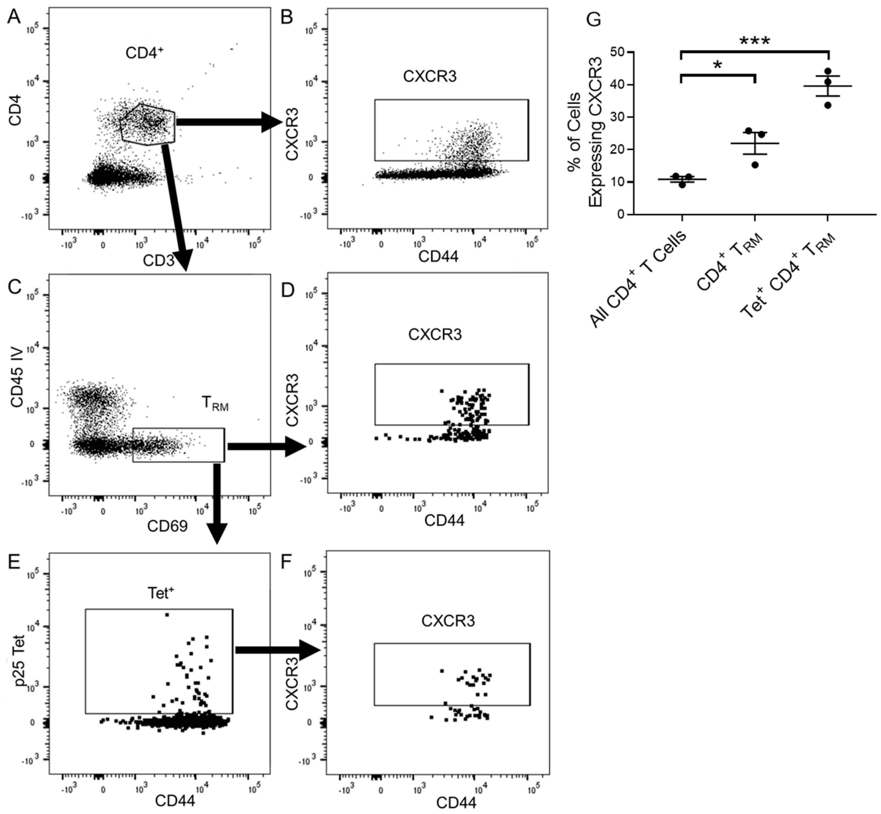 Vaccines 11 01549 g002 Vaccines 11 01549 g002