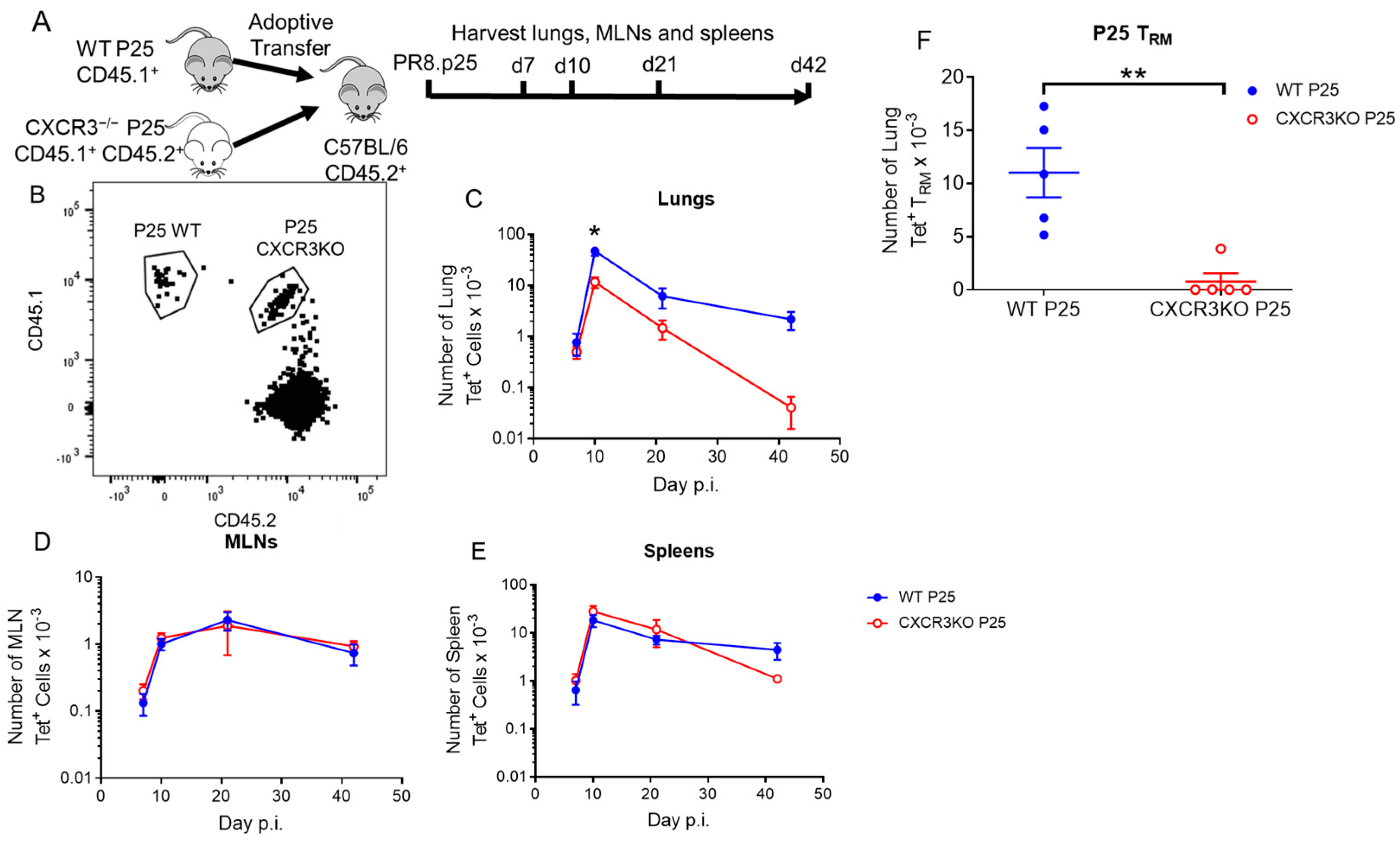 Vaccines 11 01549 g007 Vaccines 11 01549 g007