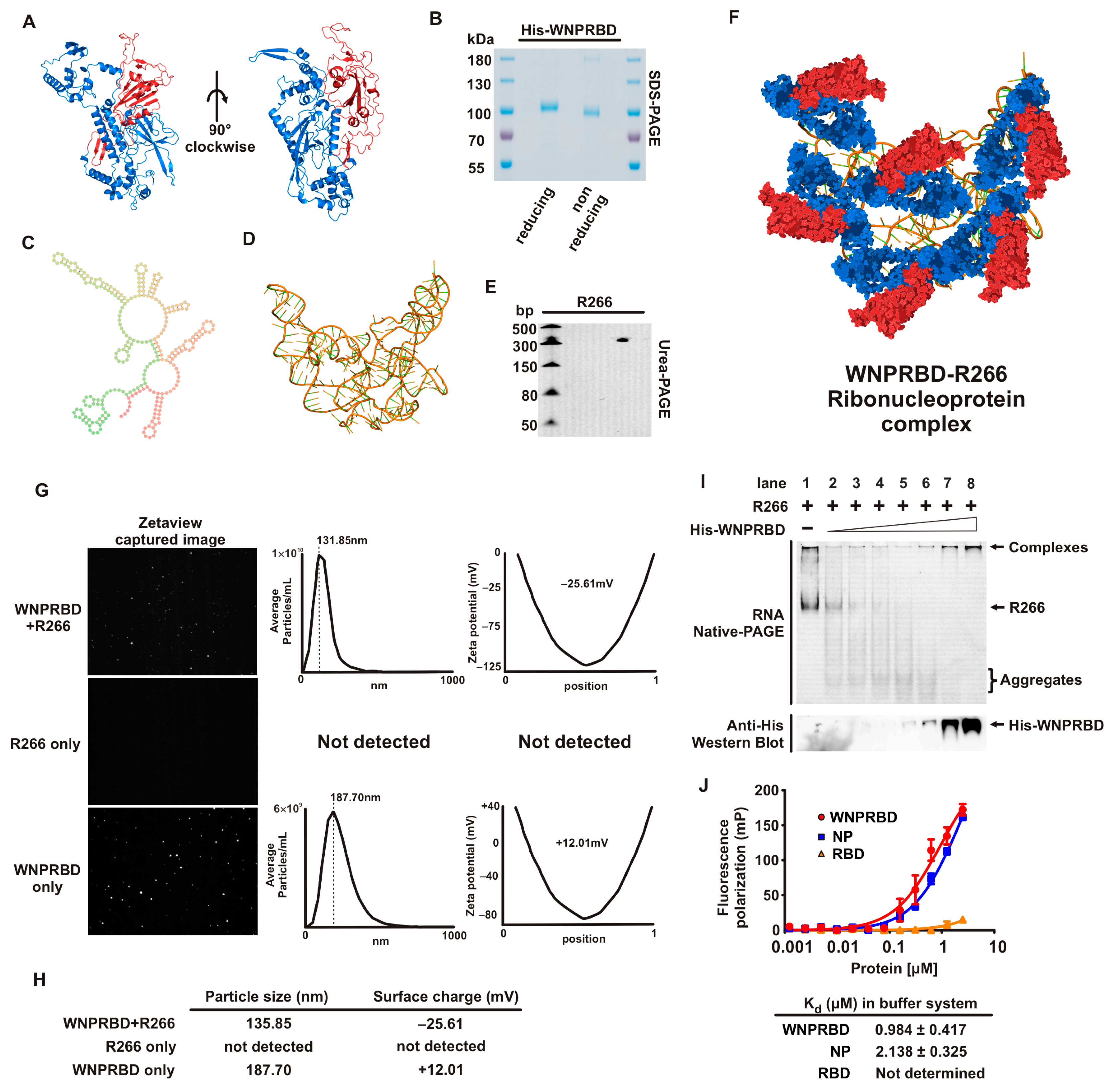 Vaccines 11 01550 g001