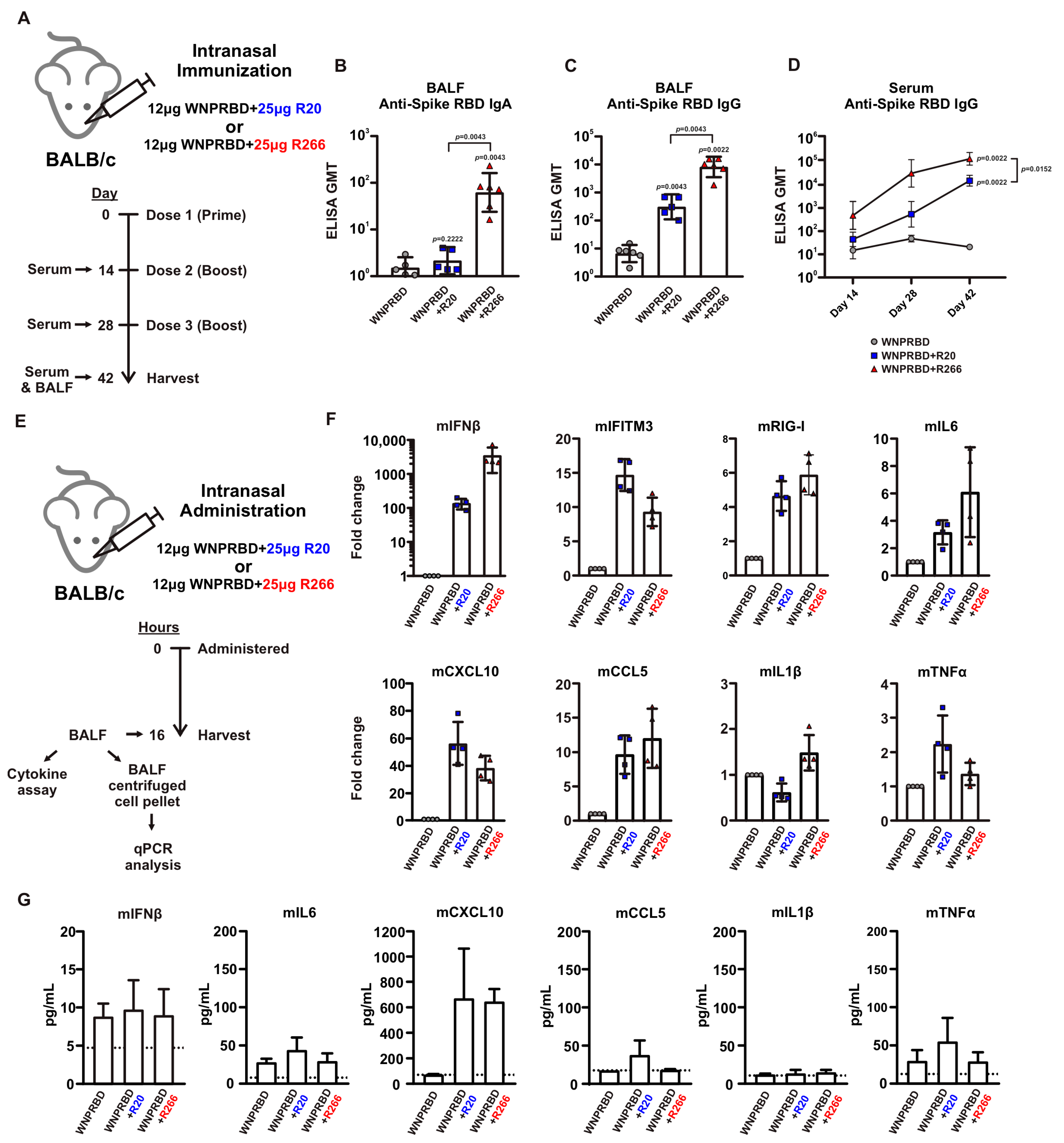 Vaccines 11 01550 g002