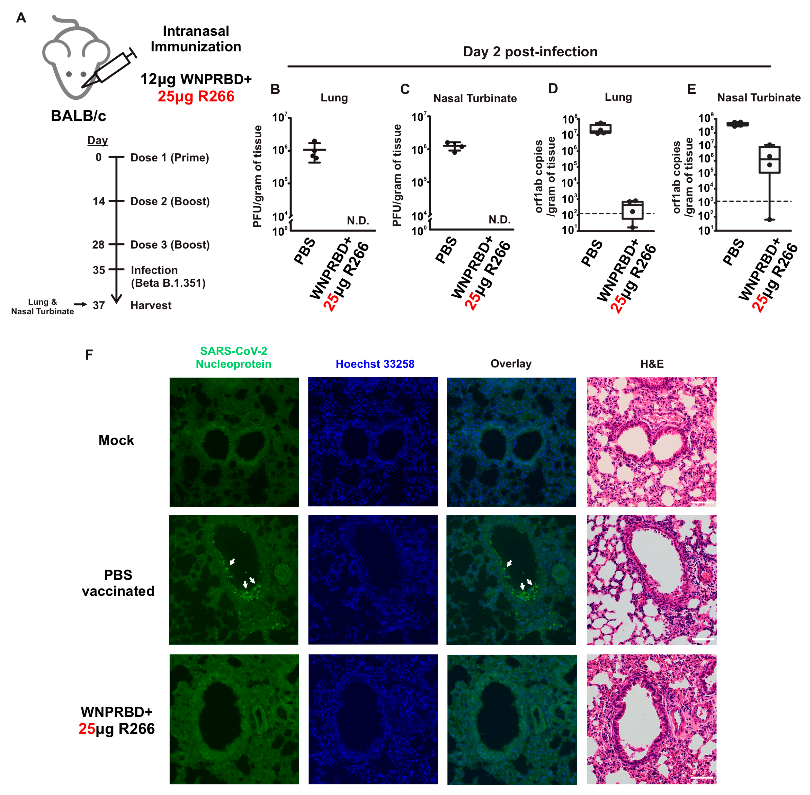 Vaccines 11 01550 g005
