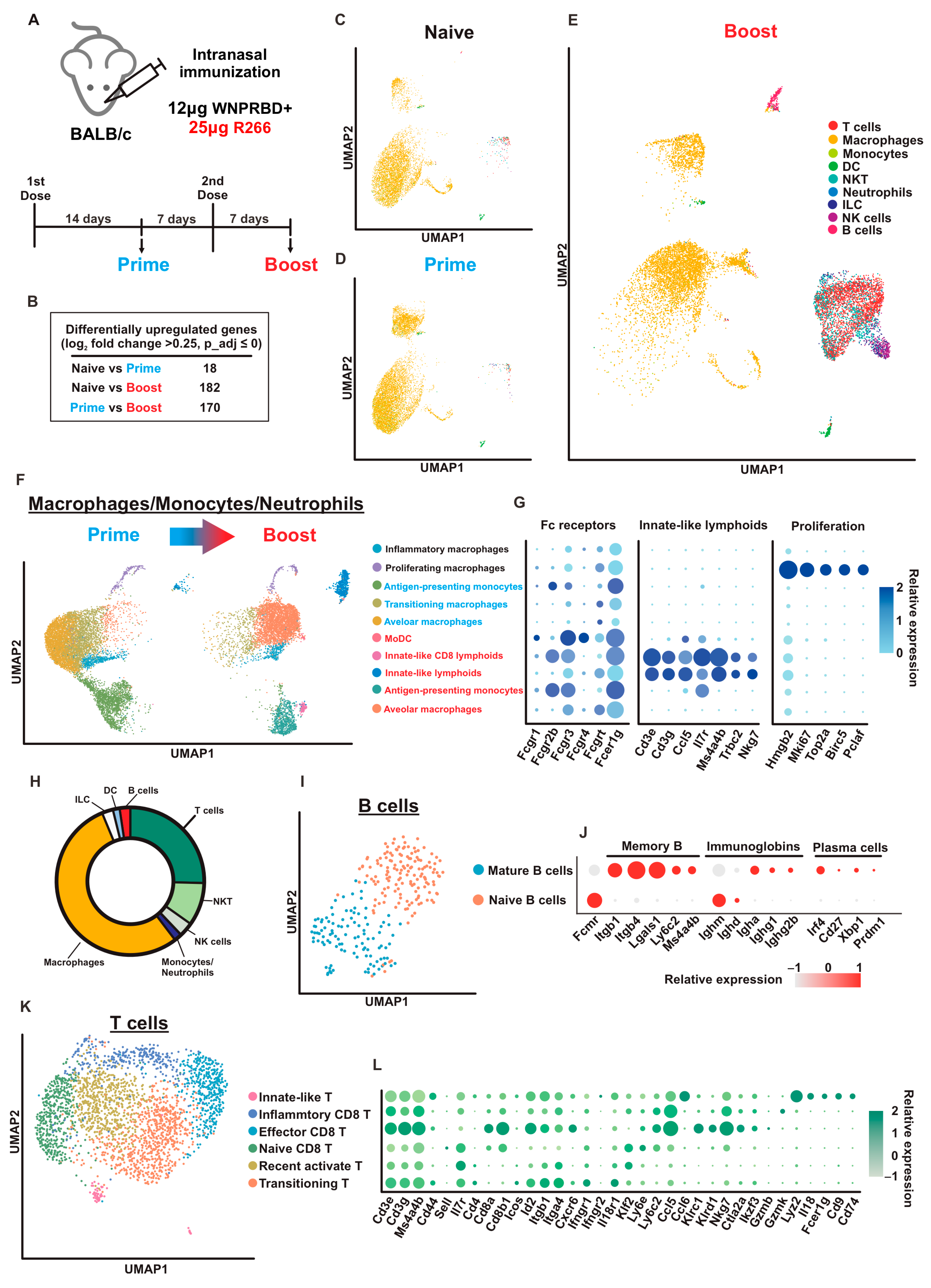 Vaccines 11 01550 g006