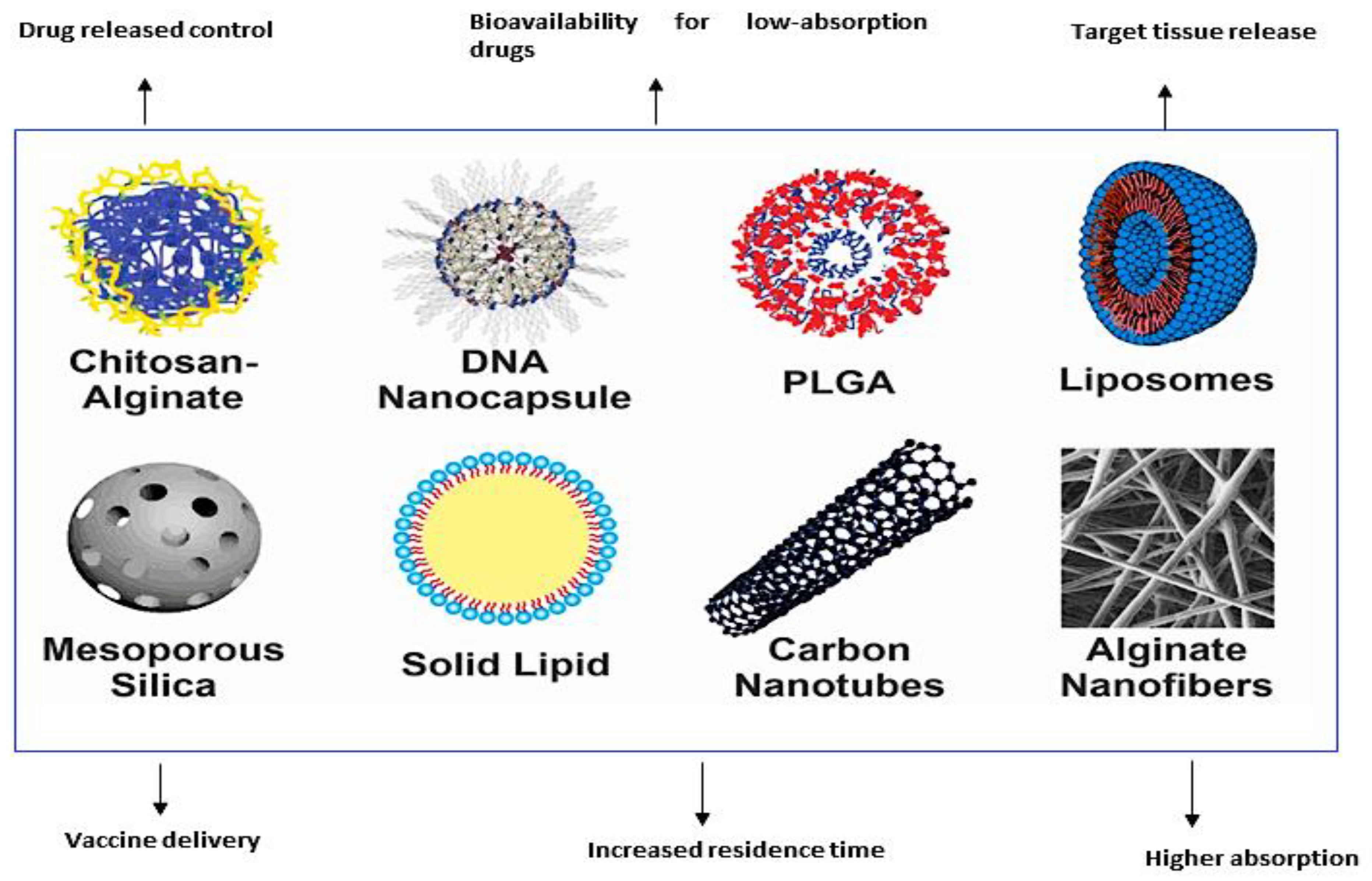 Vaccines 11 01555 g002