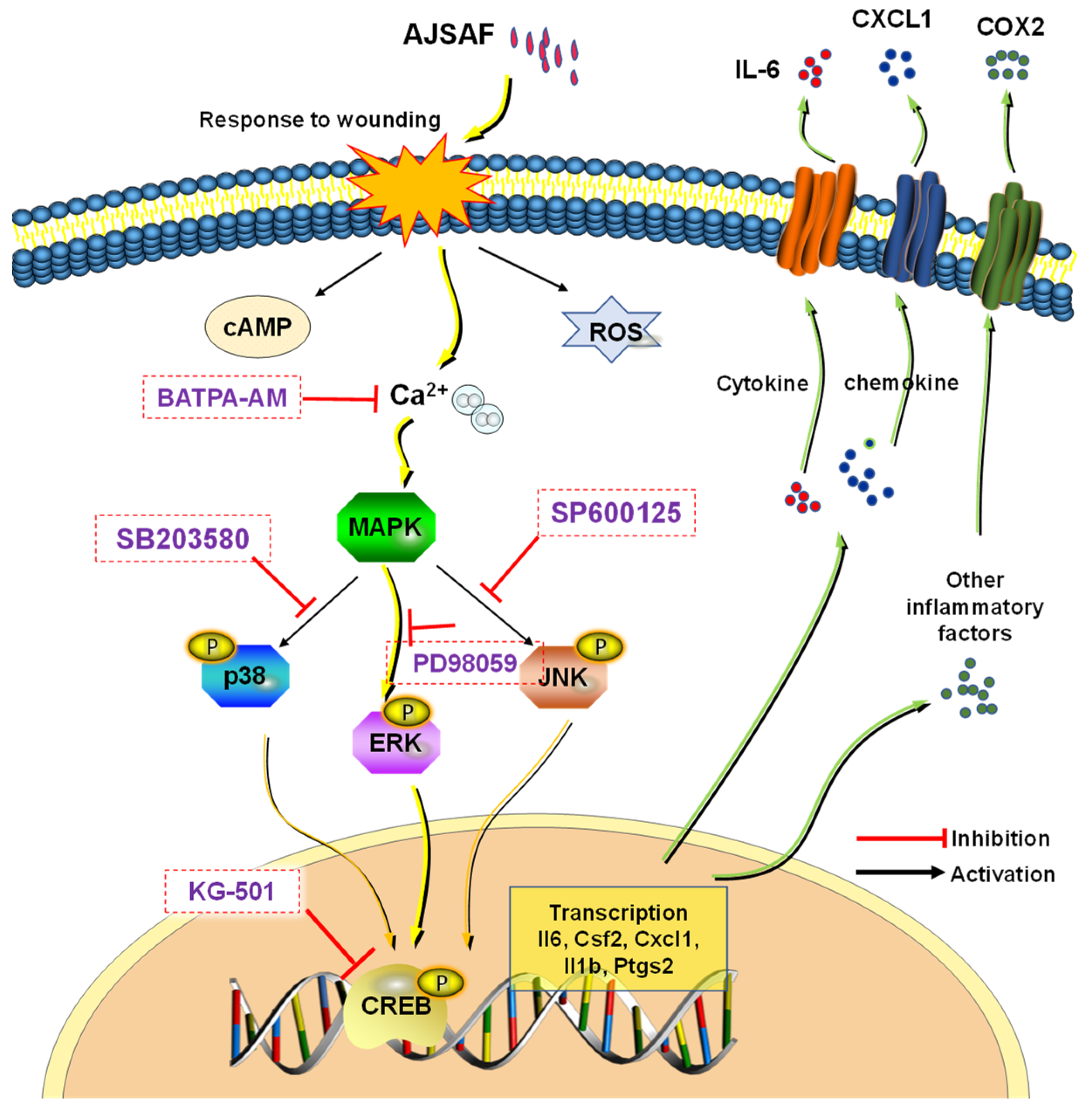 Vaccines 11 01576 g008