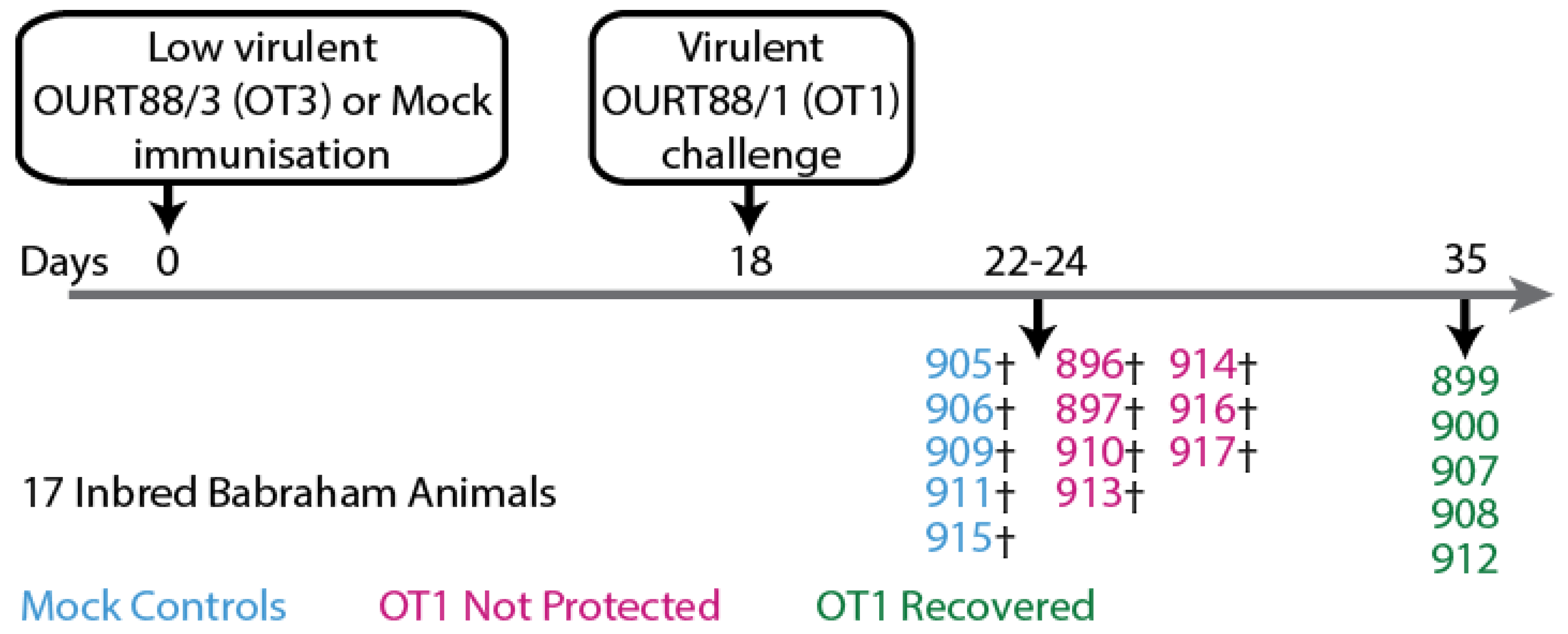Vaccines 11 01577 g001