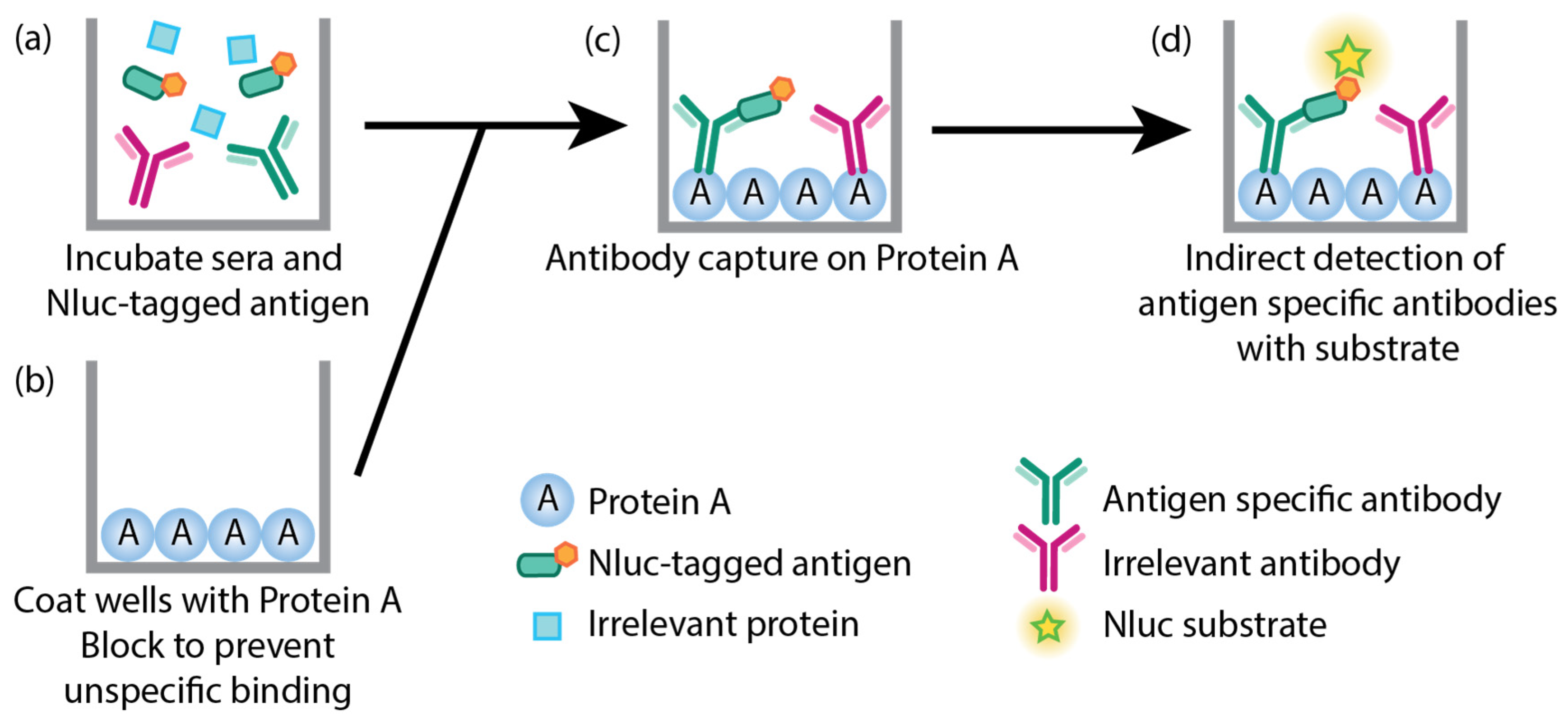 Vaccines 11 01577 g003