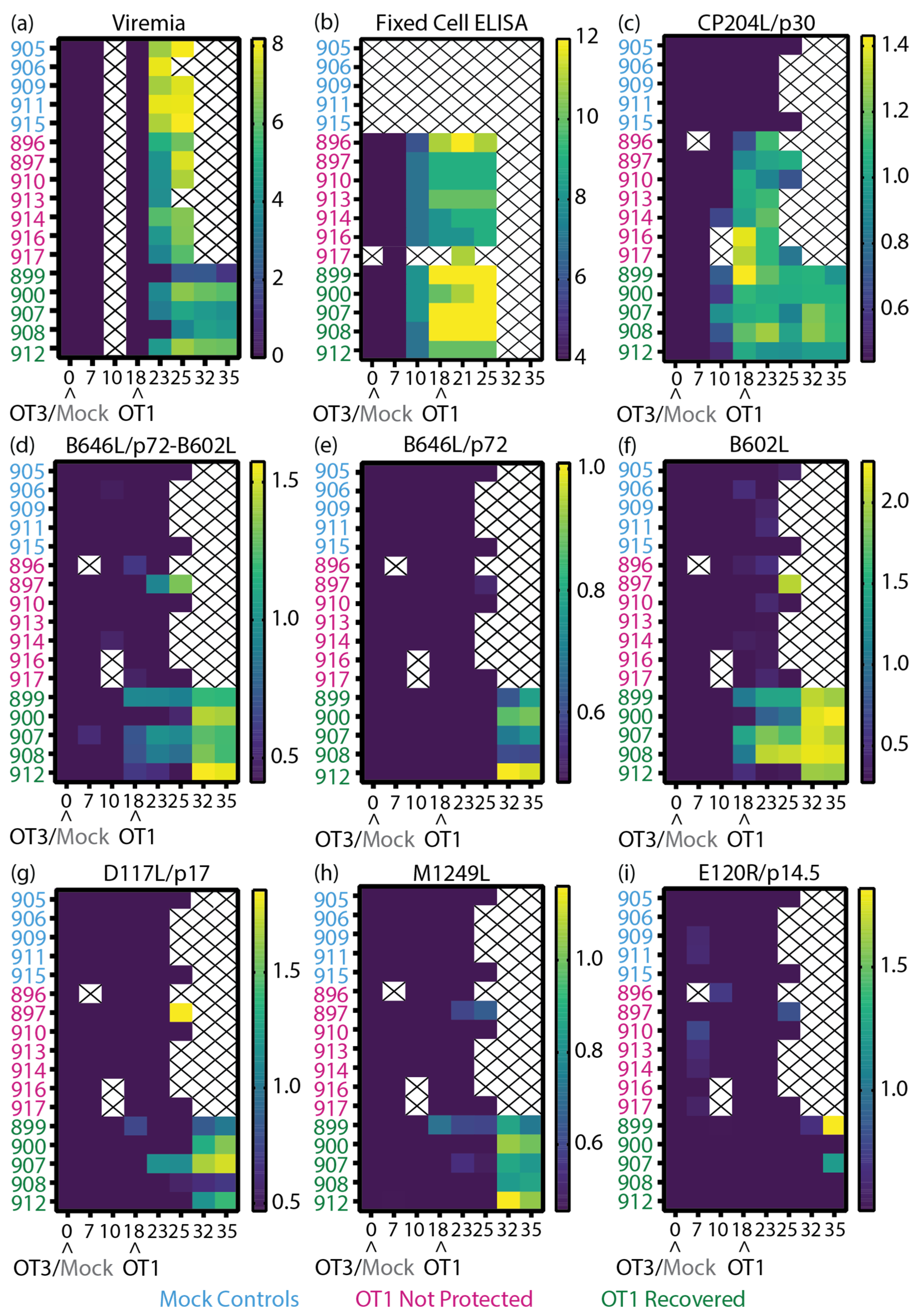 Vaccines 11 01577 g006