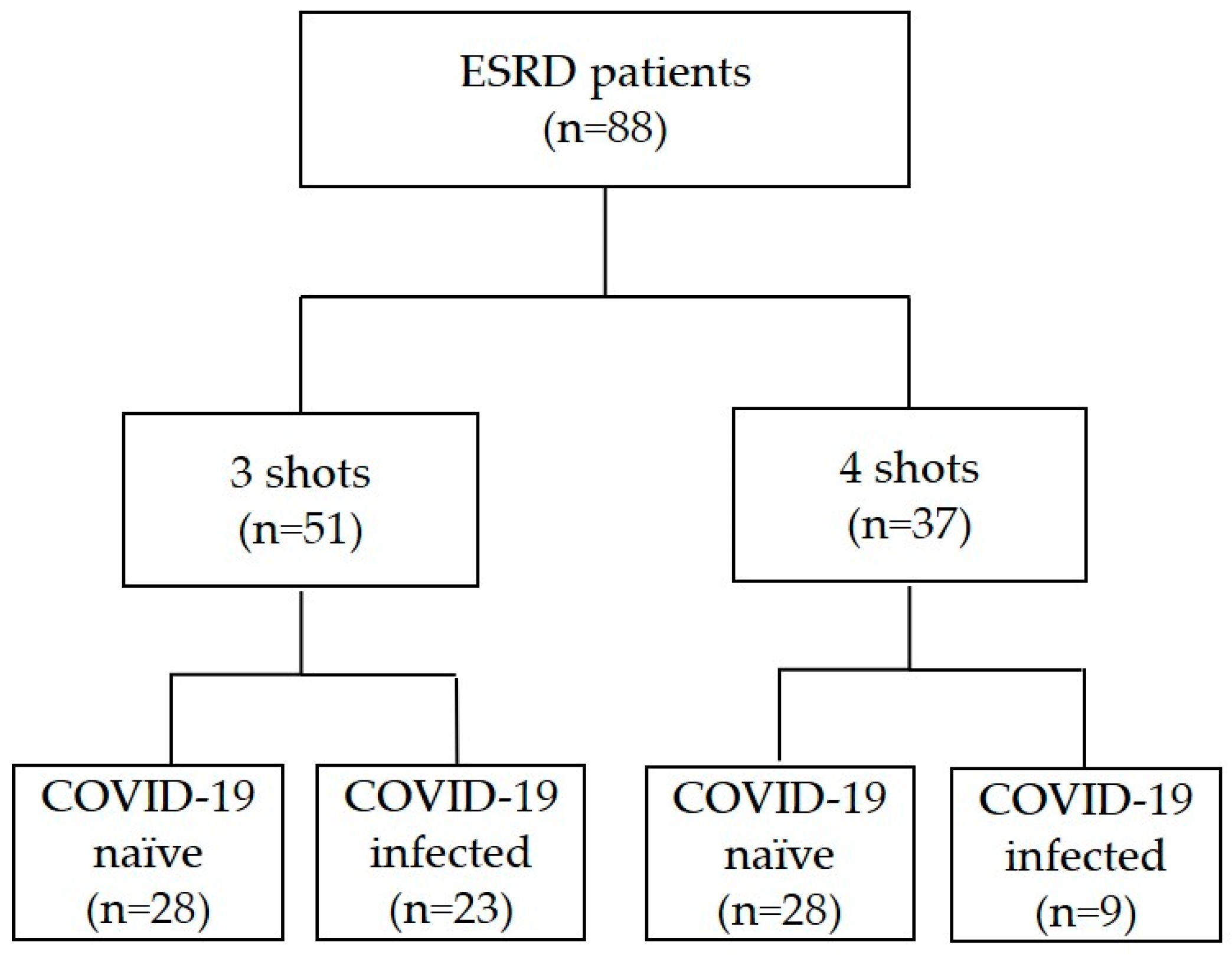 Vaccines 11 01584 g001
