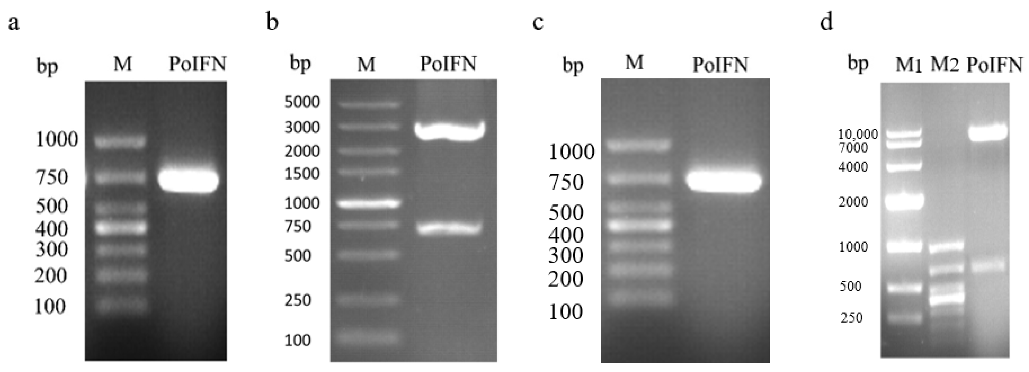 Vaccines 11 01587 g001