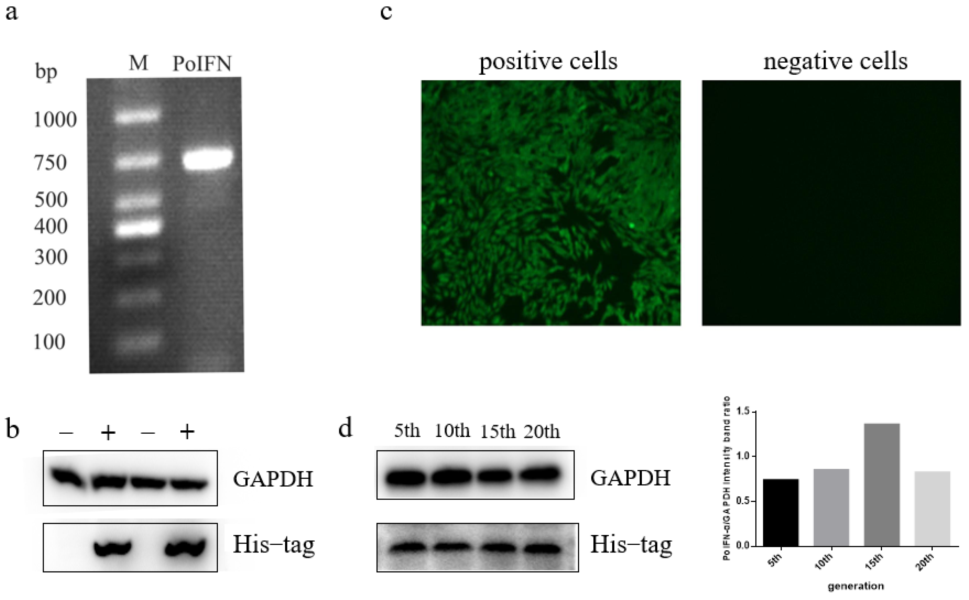 Vaccines 11 01587 g002