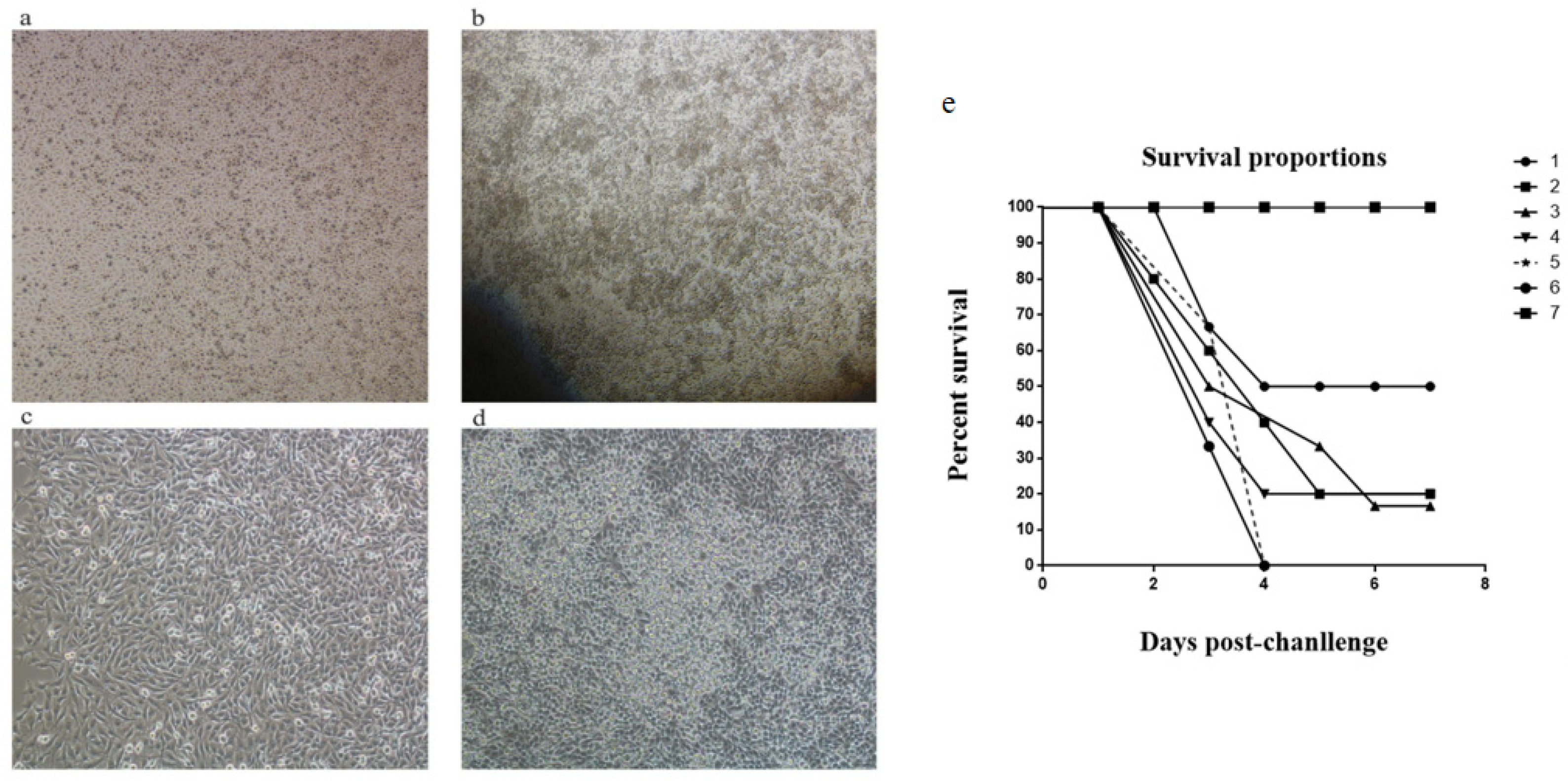 Vaccines 11 01587 g005
