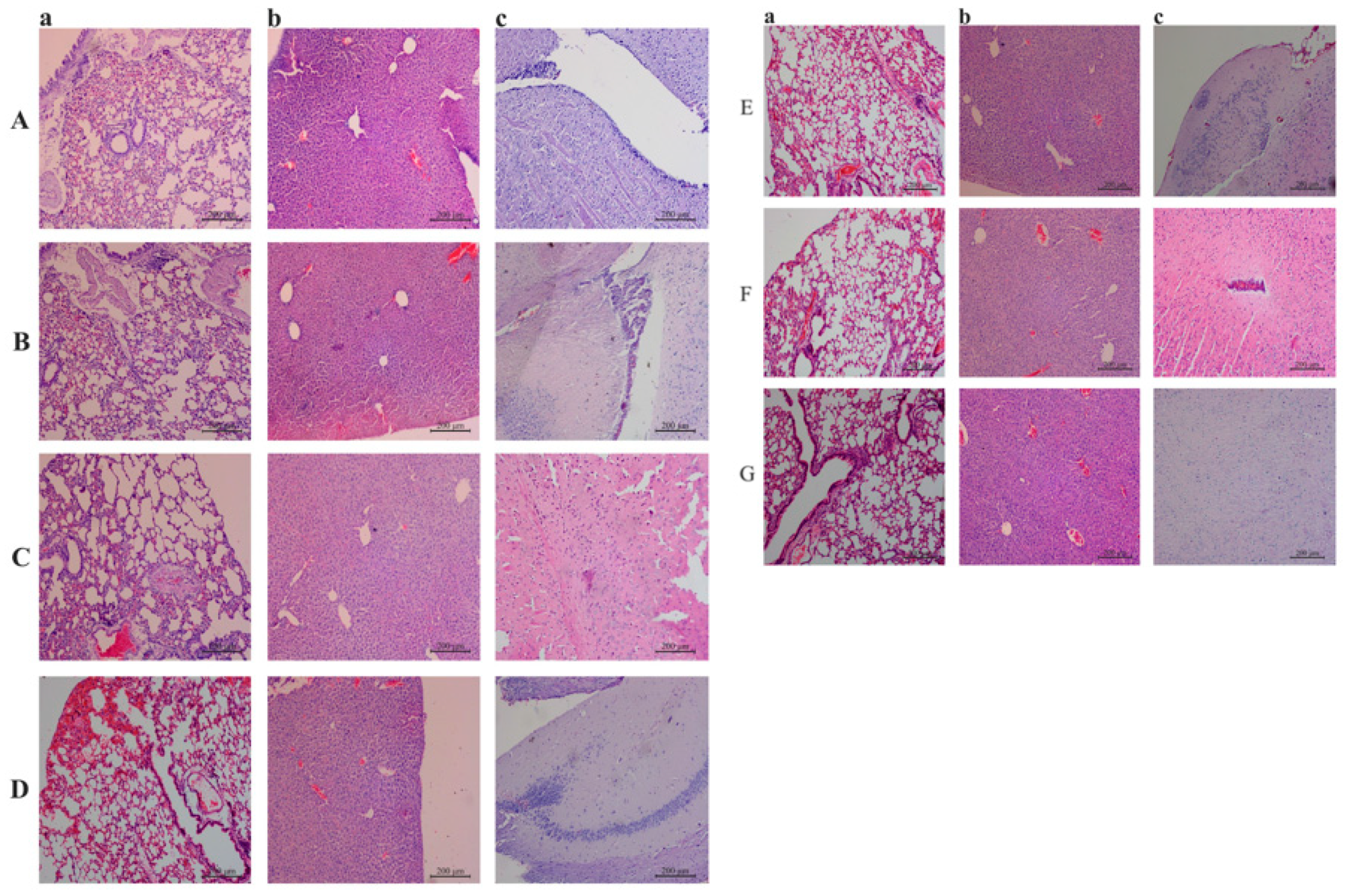 Vaccines 11 01587 g008