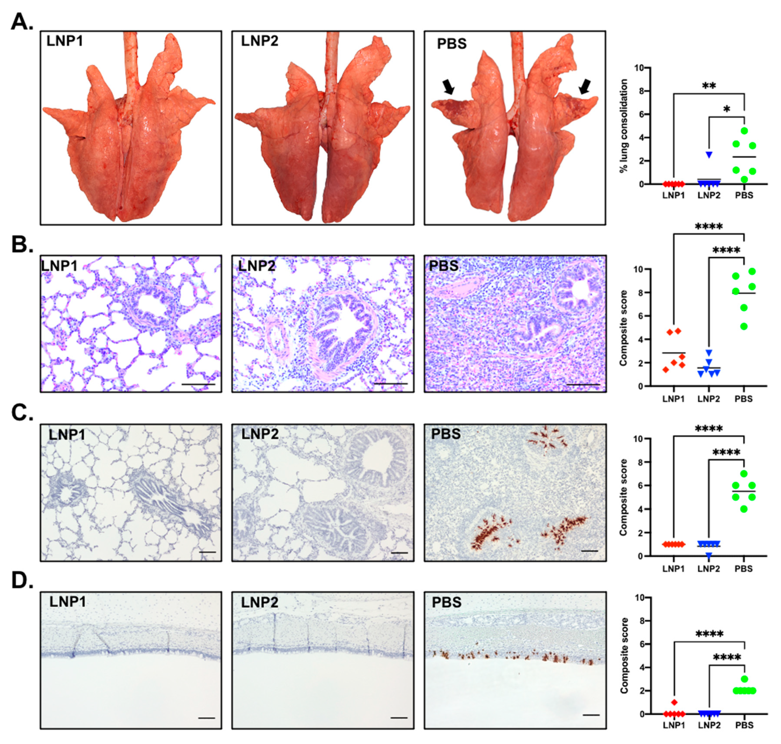 Vaccines 11 01596 g006