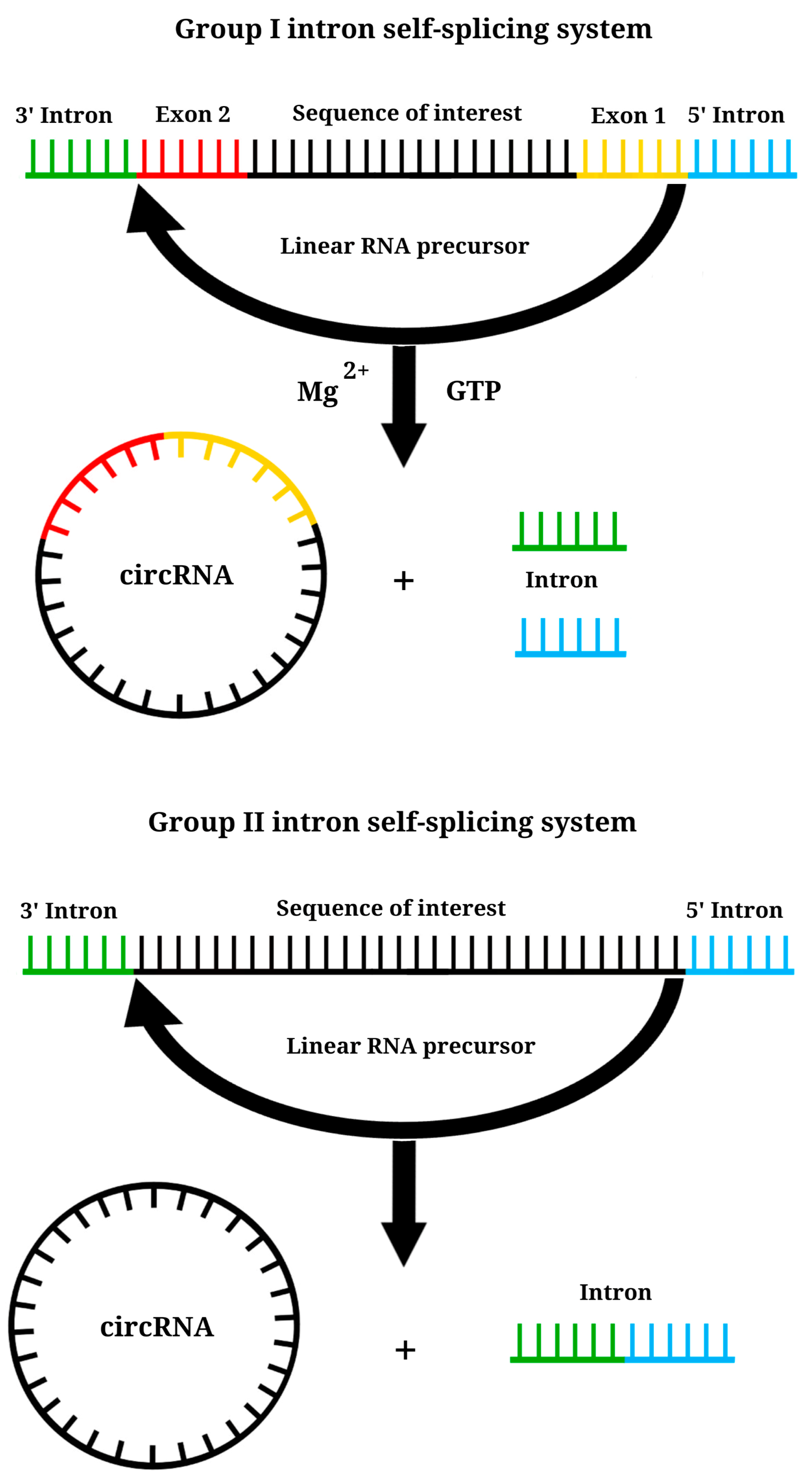 Vaccines 11 01600 g008