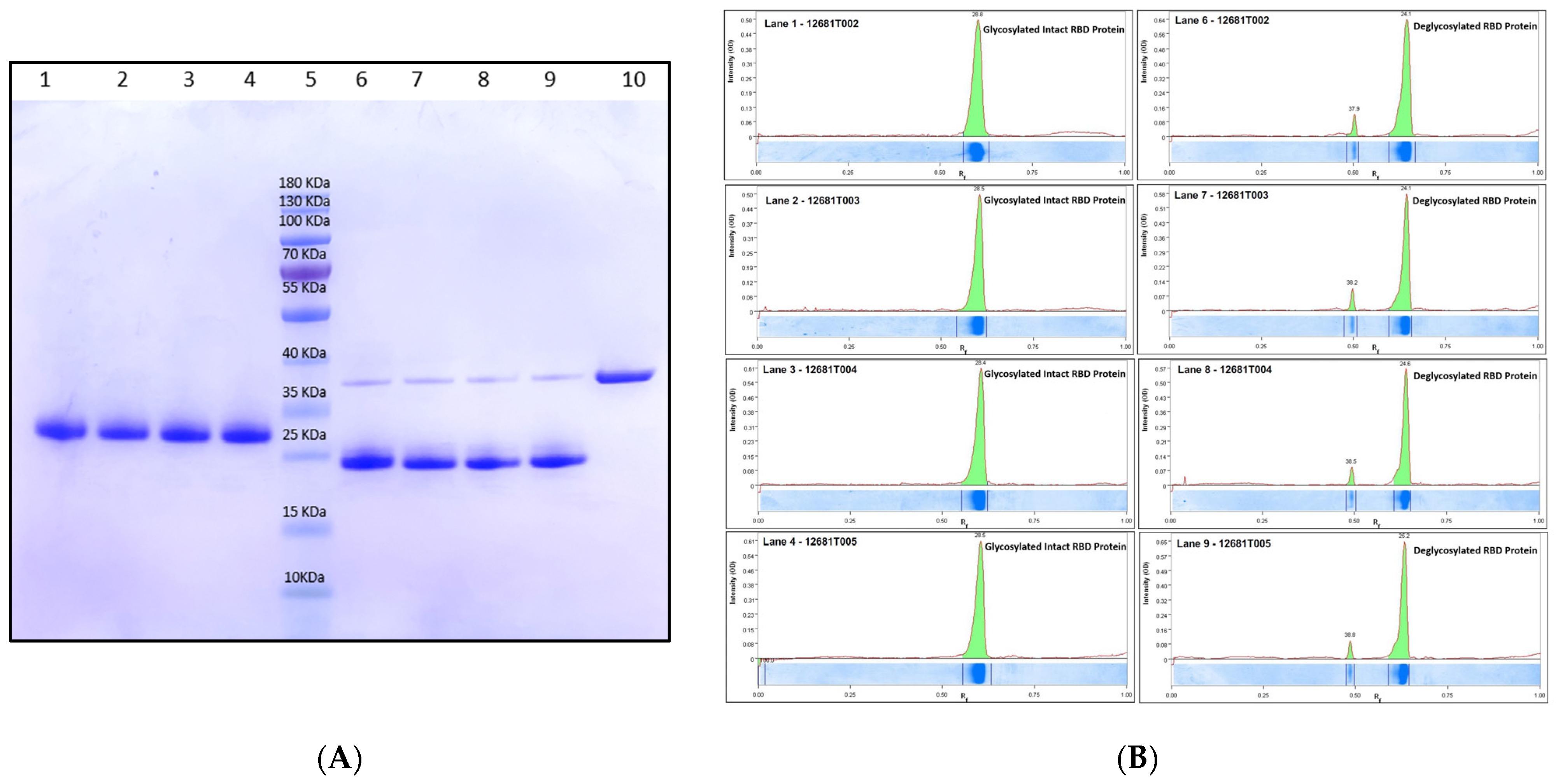 Vaccines 11 01602 g002