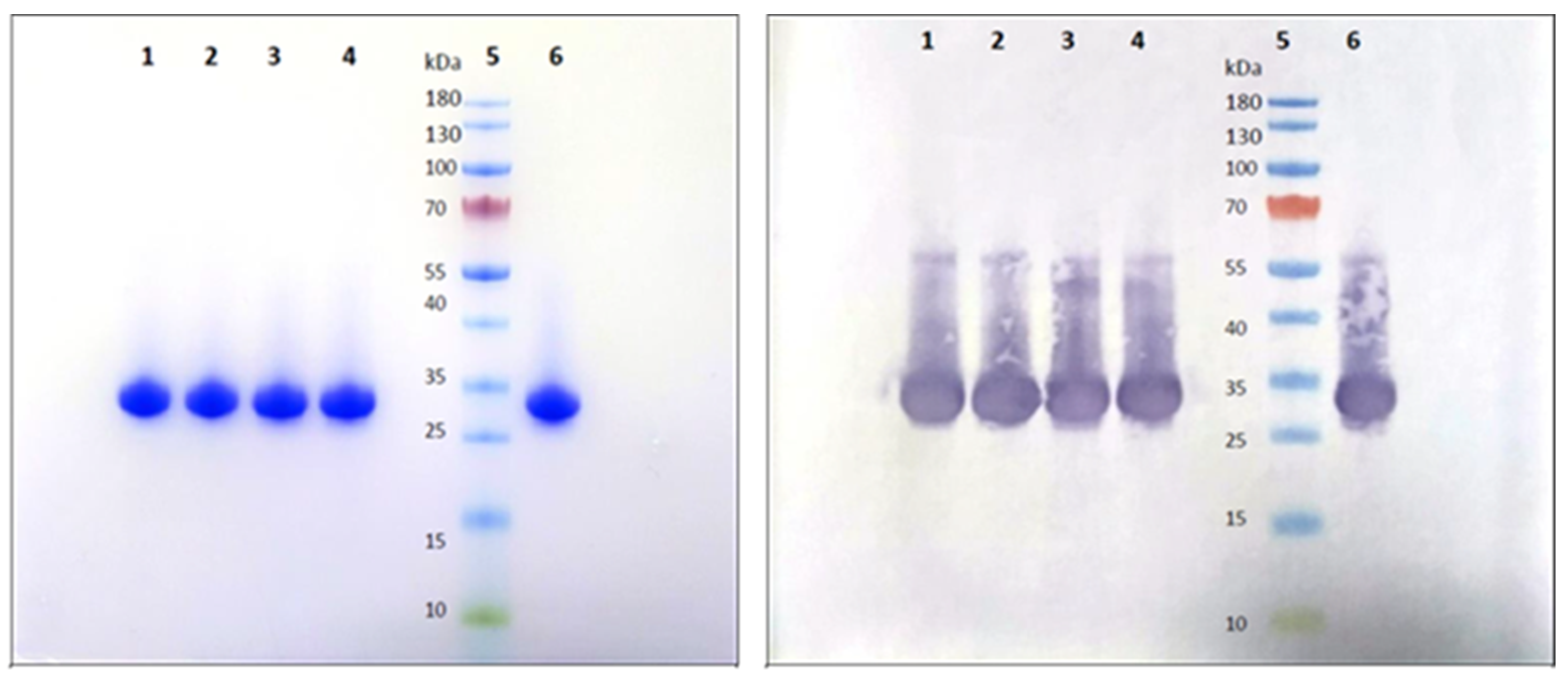 Vaccines 11 01602 g003