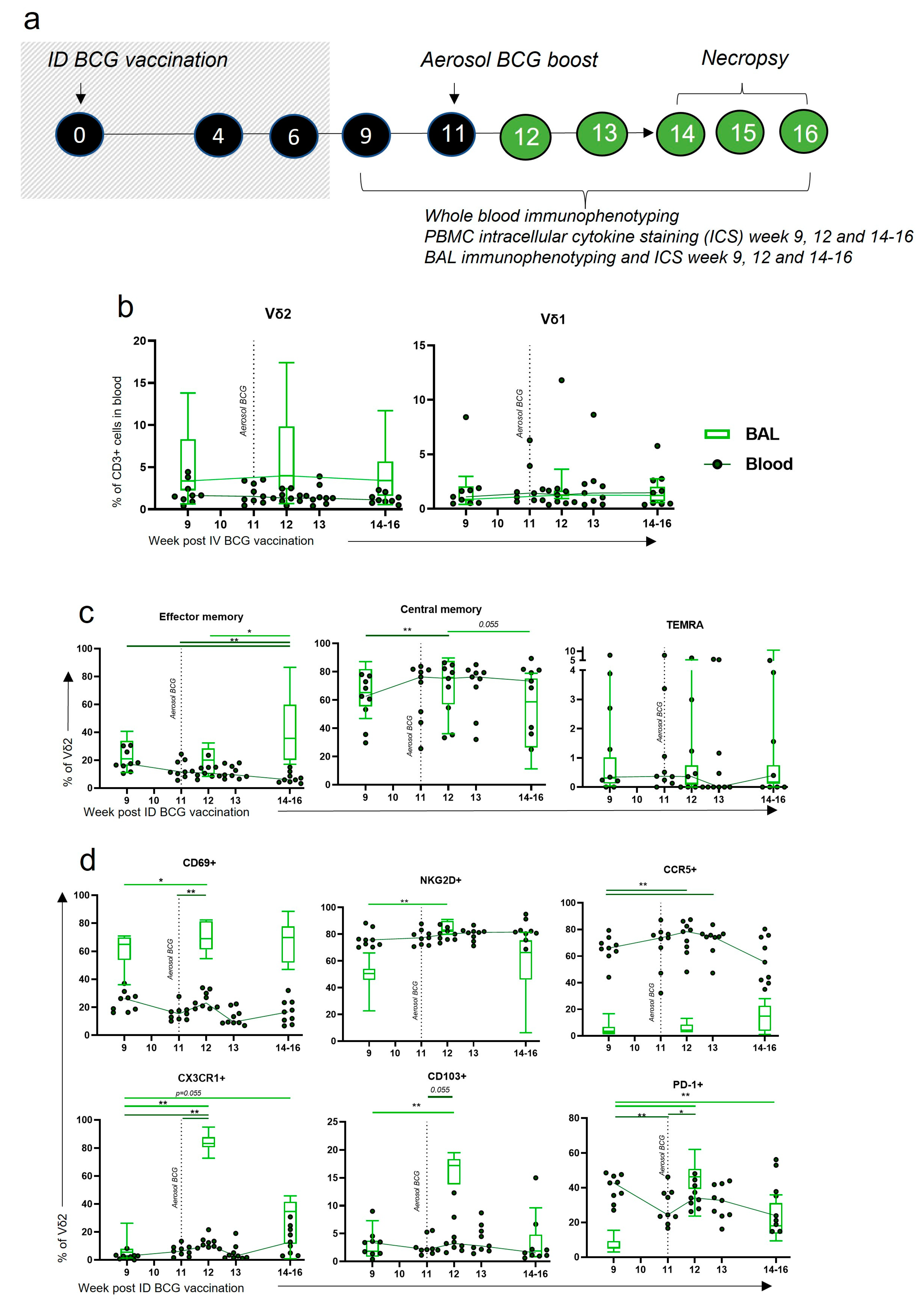 Vaccines 11 01604 g007