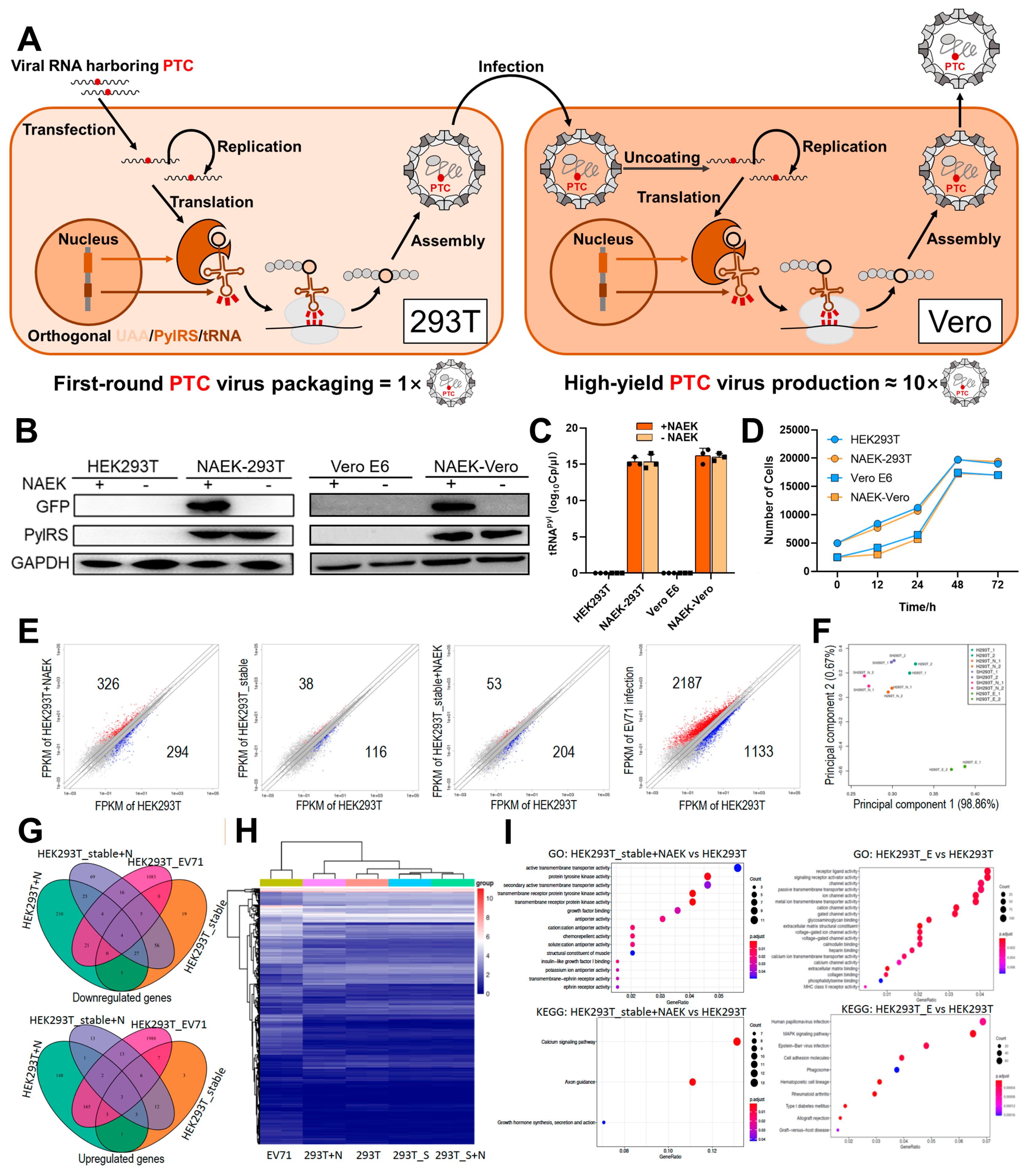 Vaccines 11 01606 g001