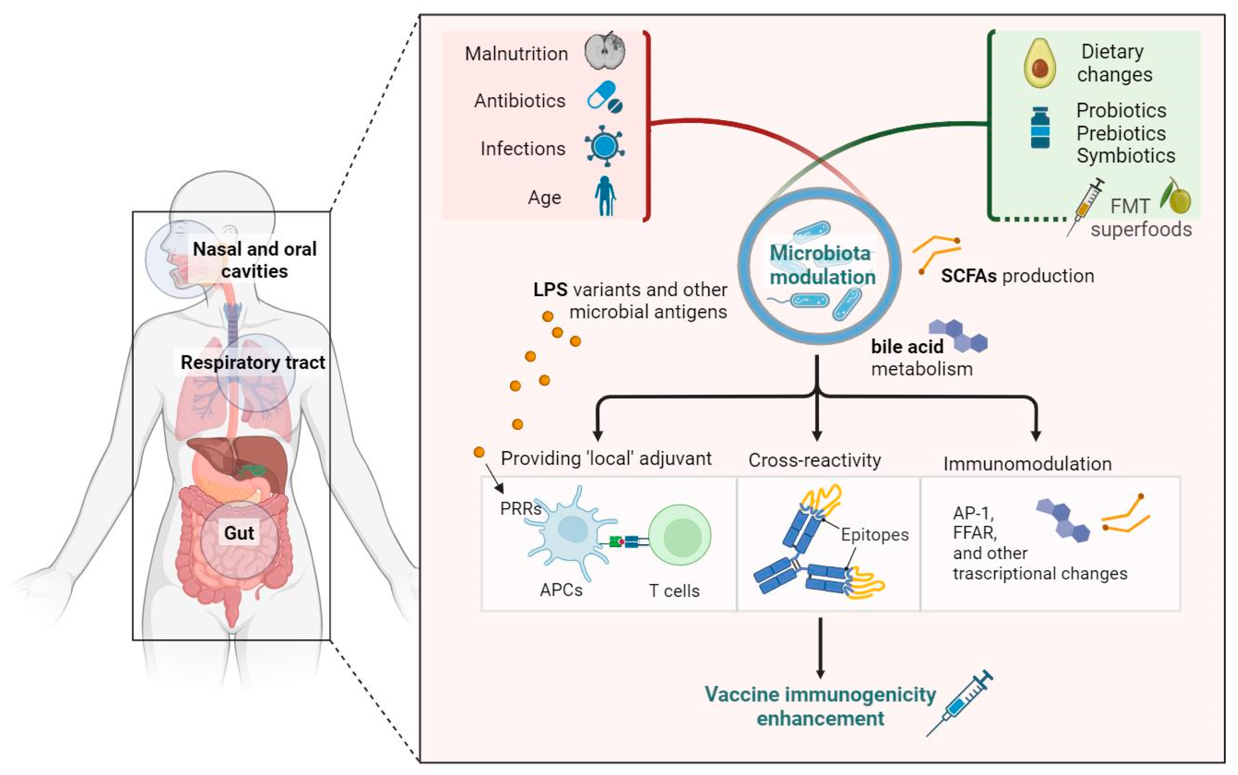 Vaccines 11 01609 g001