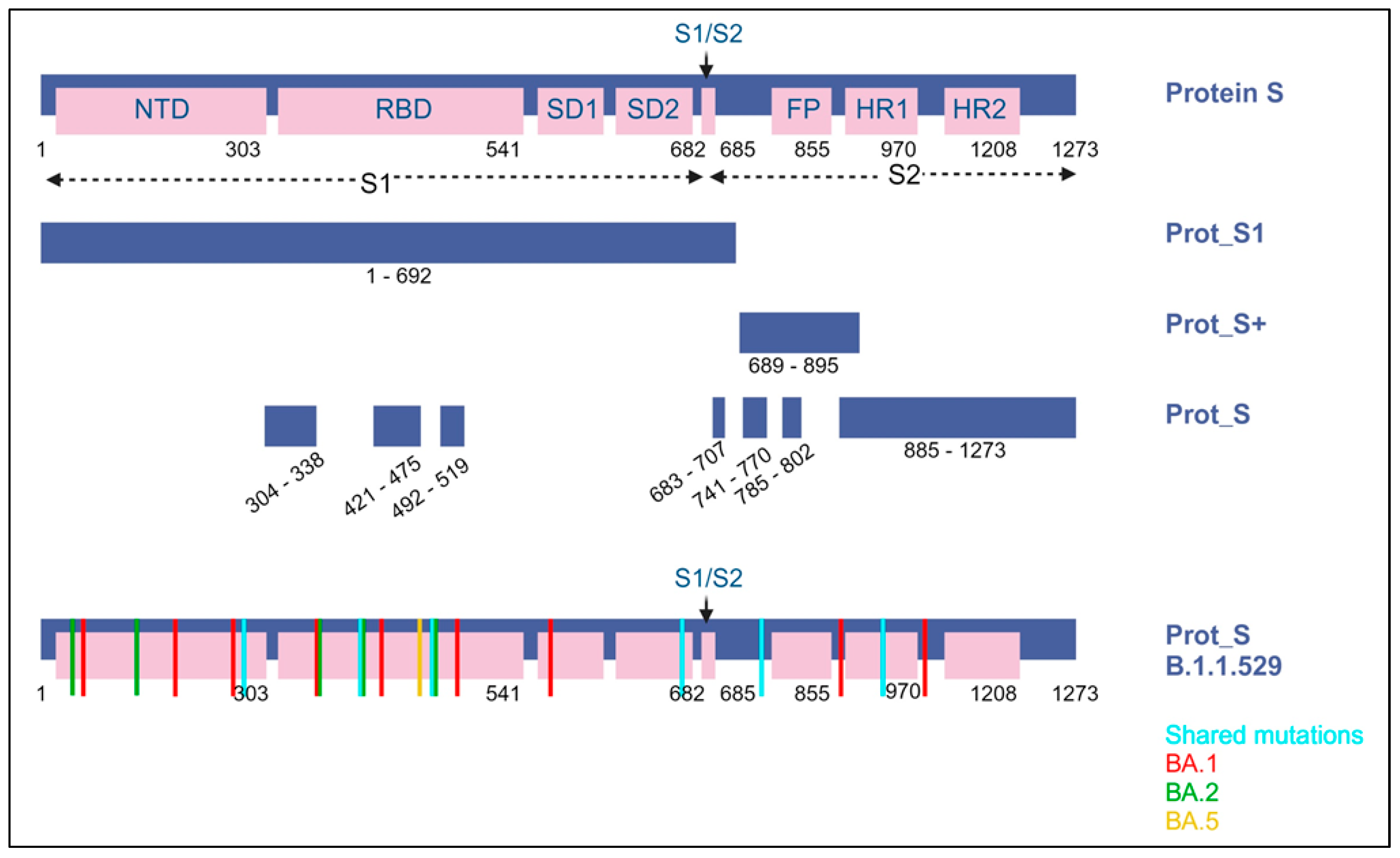 Vaccines 11 01613 g002