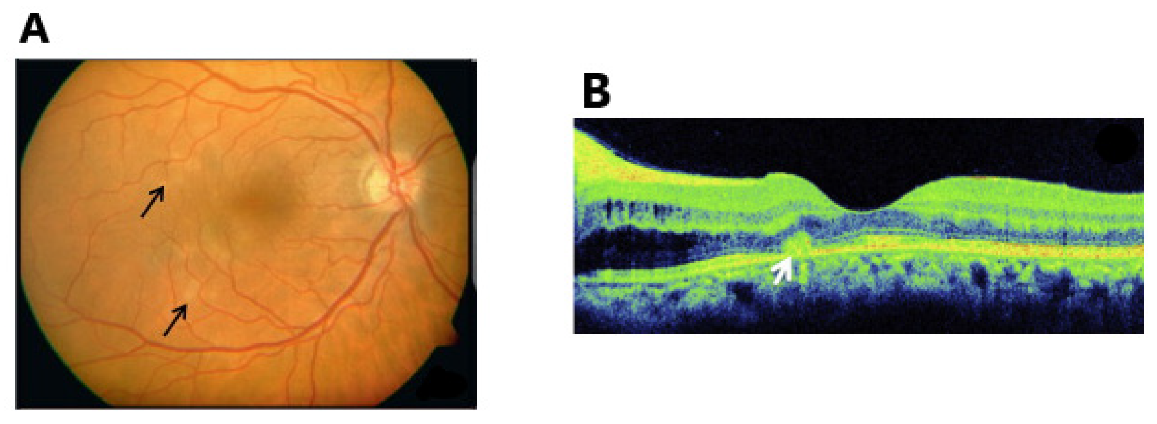 Vaccines 11 01626 g002