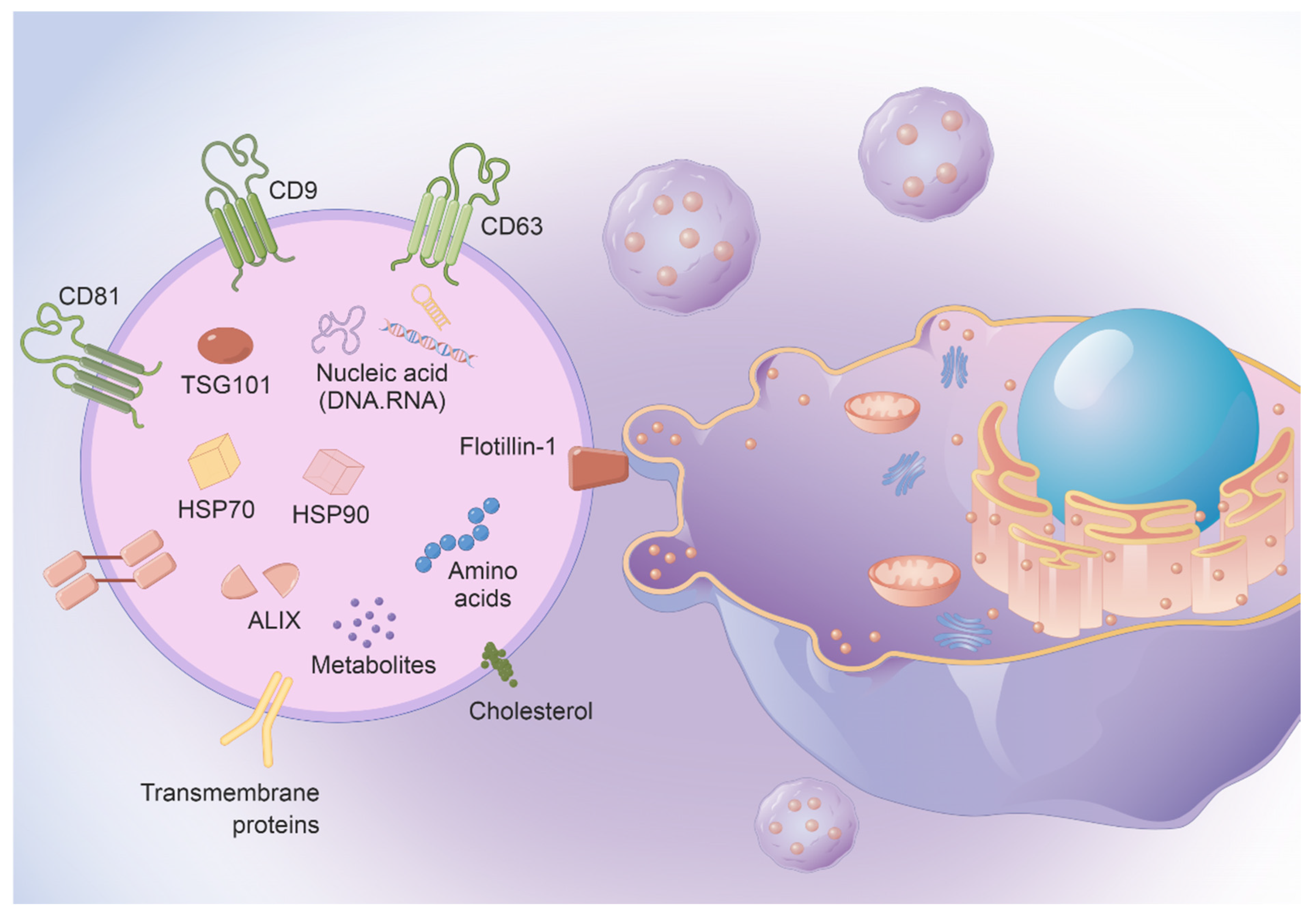 Vaccines 11 01631 g001 Vaccines 11 01631 g001