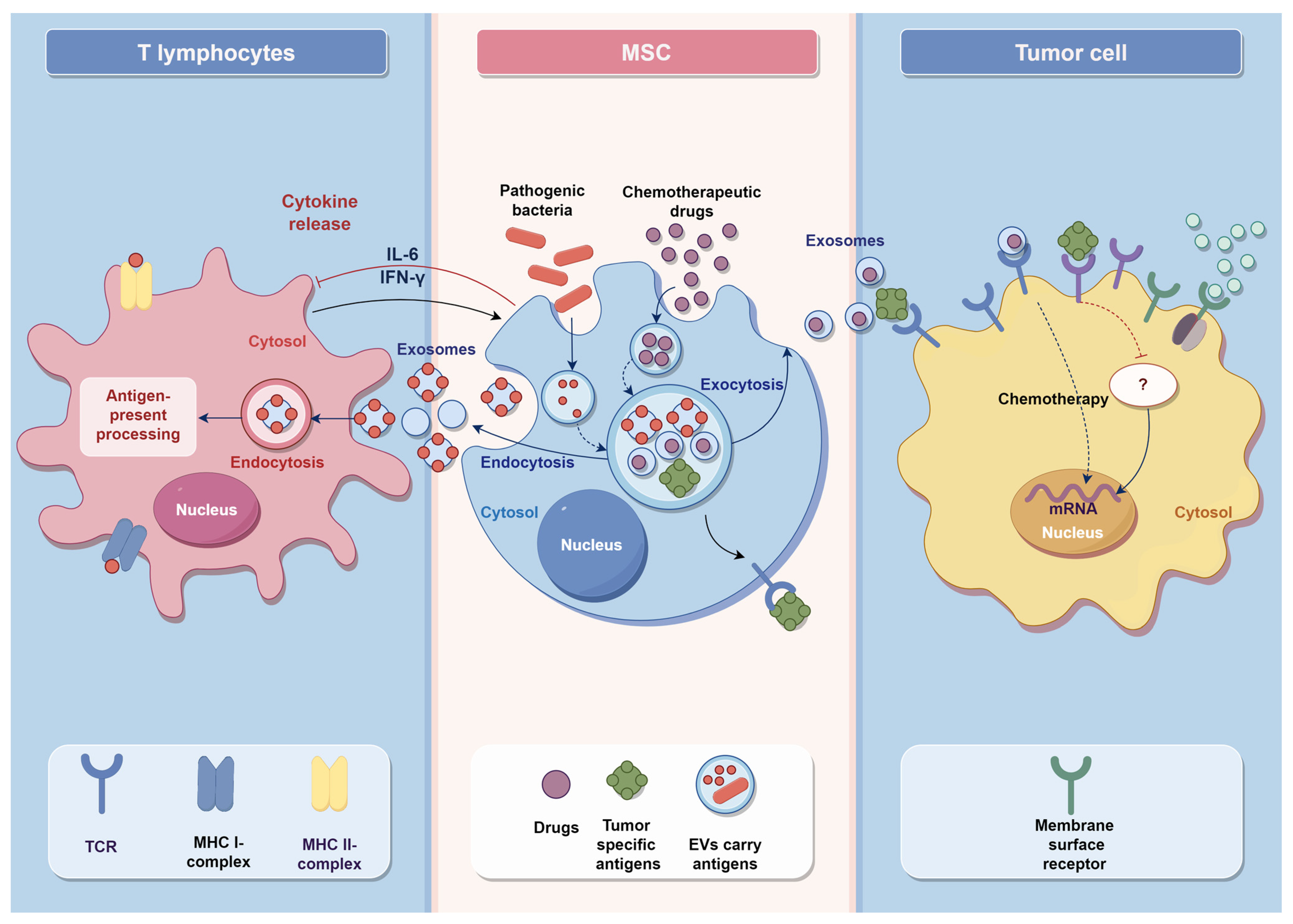 Vaccines 11 01631 g003 Vaccines 11 01631 g003