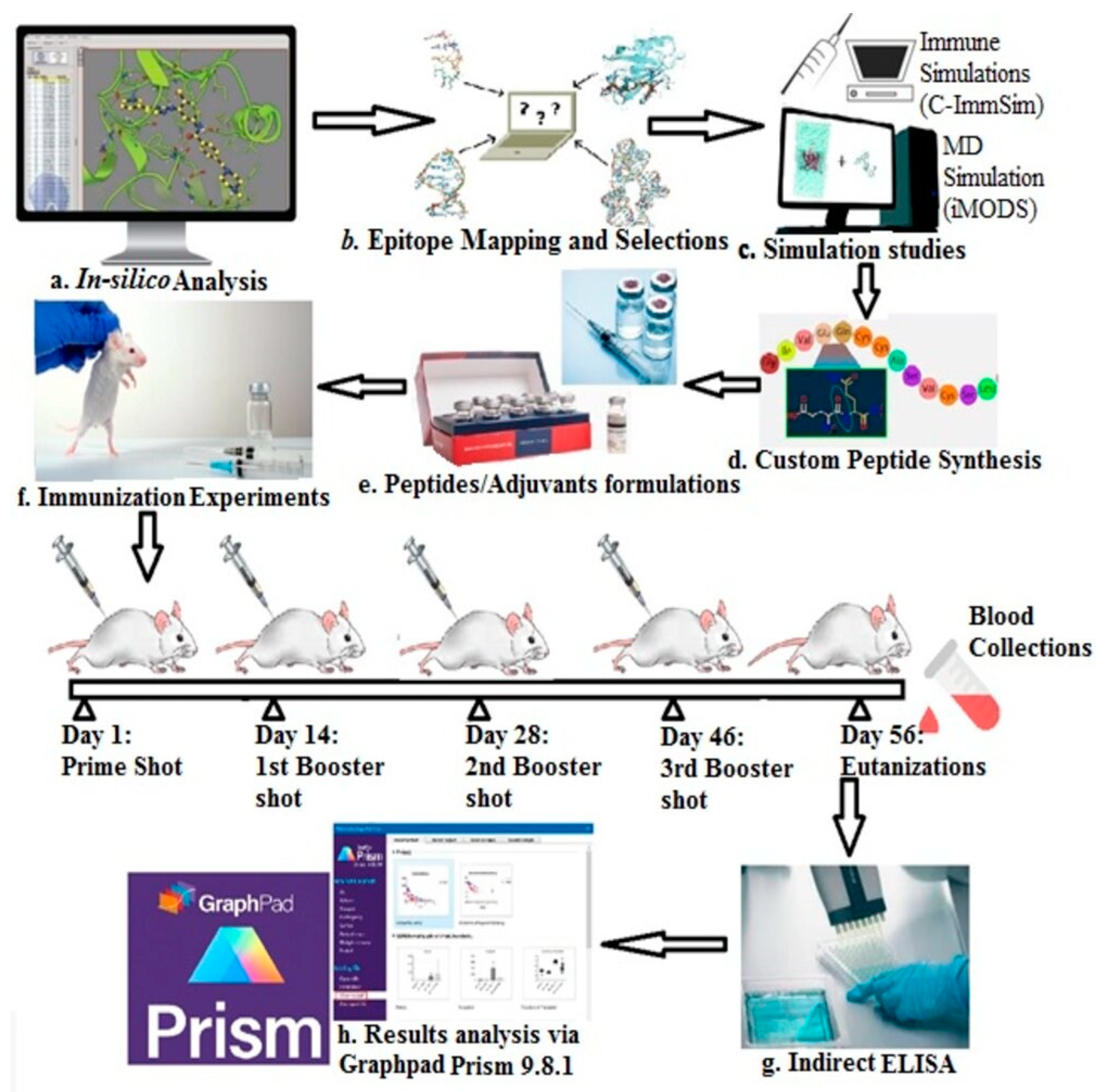 Vaccines 11 01651 g001