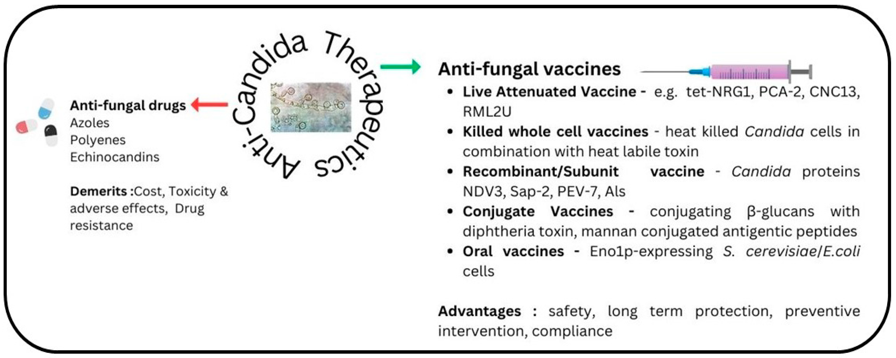 Vaccines 11 01658 g002