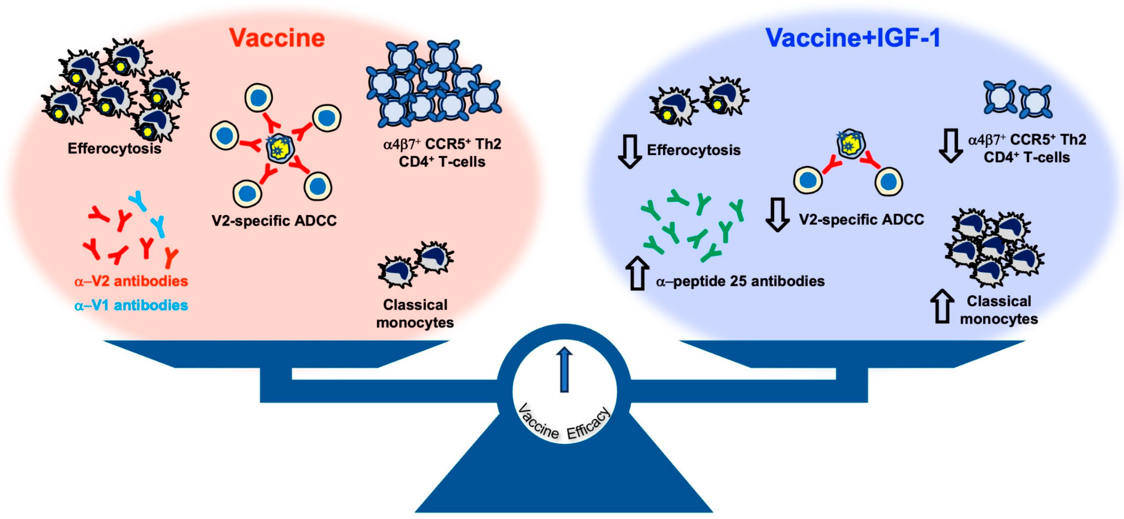 Vaccines 11 01662 g006