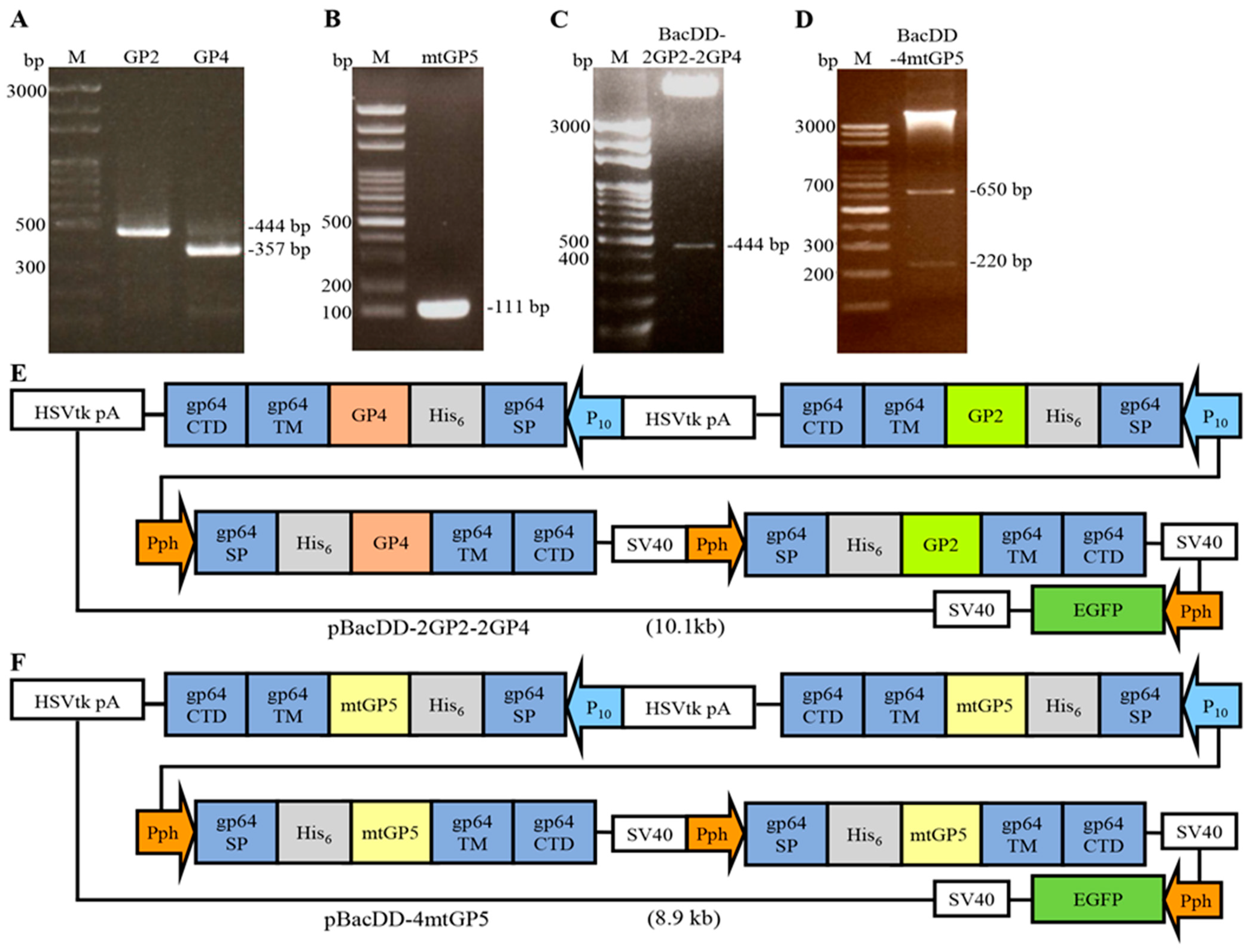 Vaccines 11 01666 g001