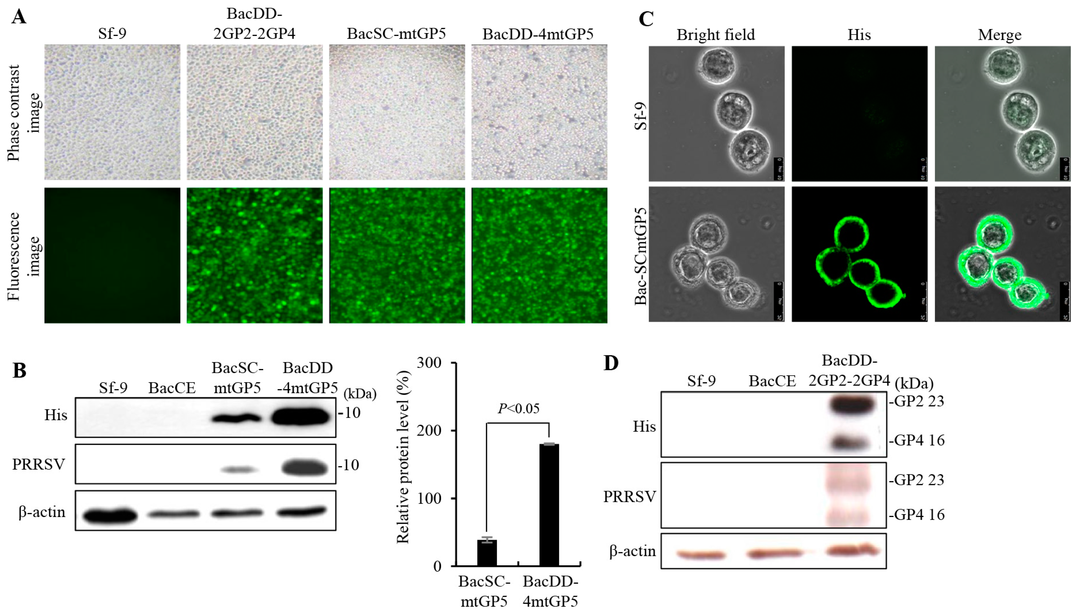 Vaccines 11 01666 g002