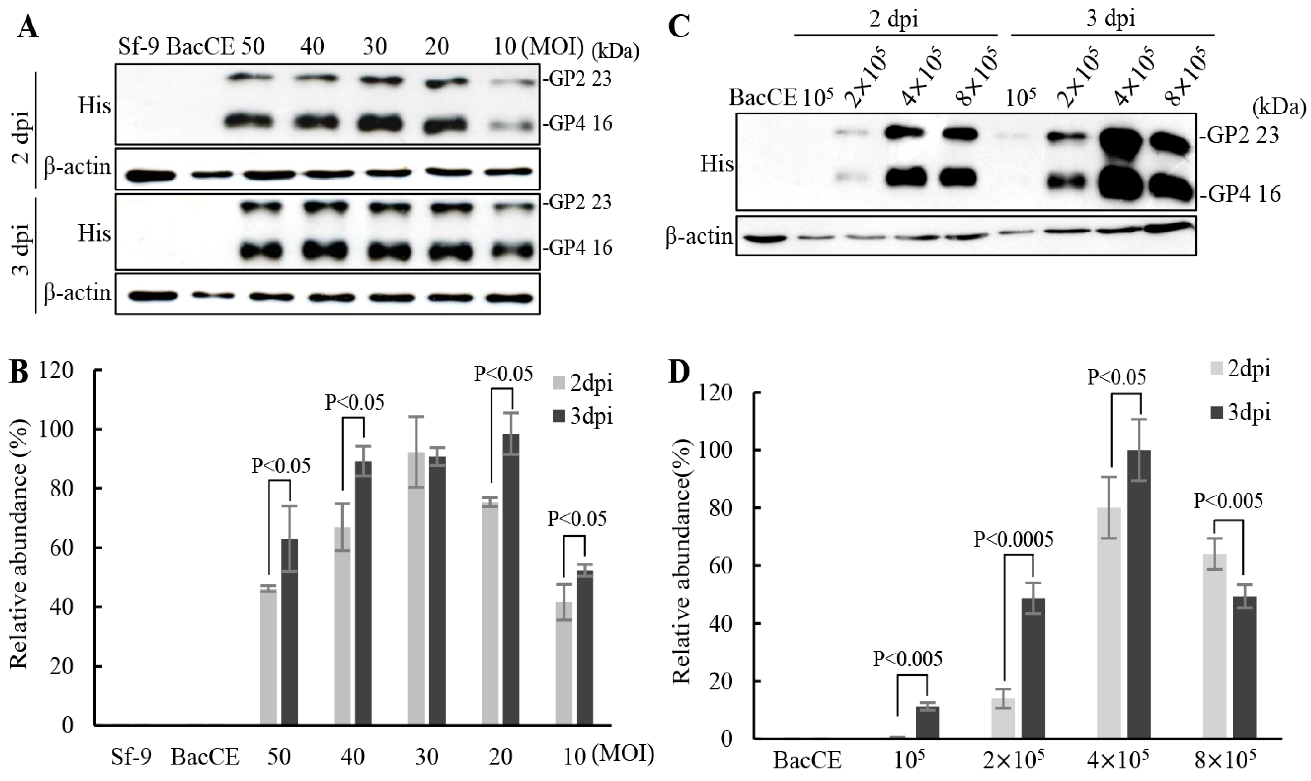Vaccines 11 01666 g003