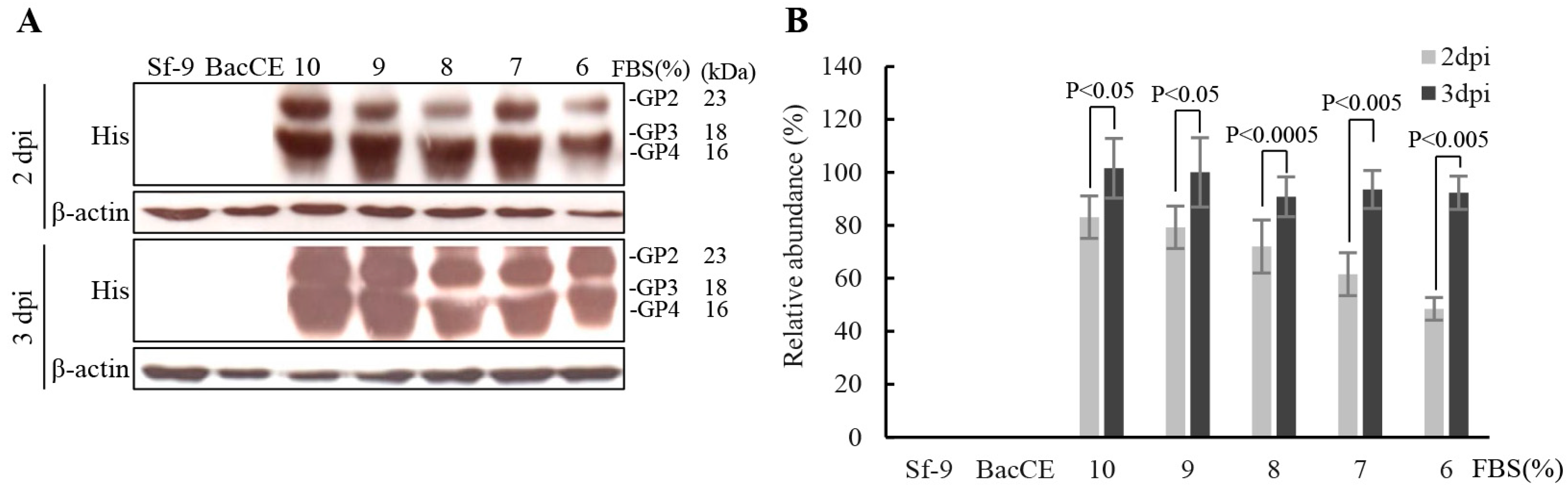 Vaccines 11 01666 g004