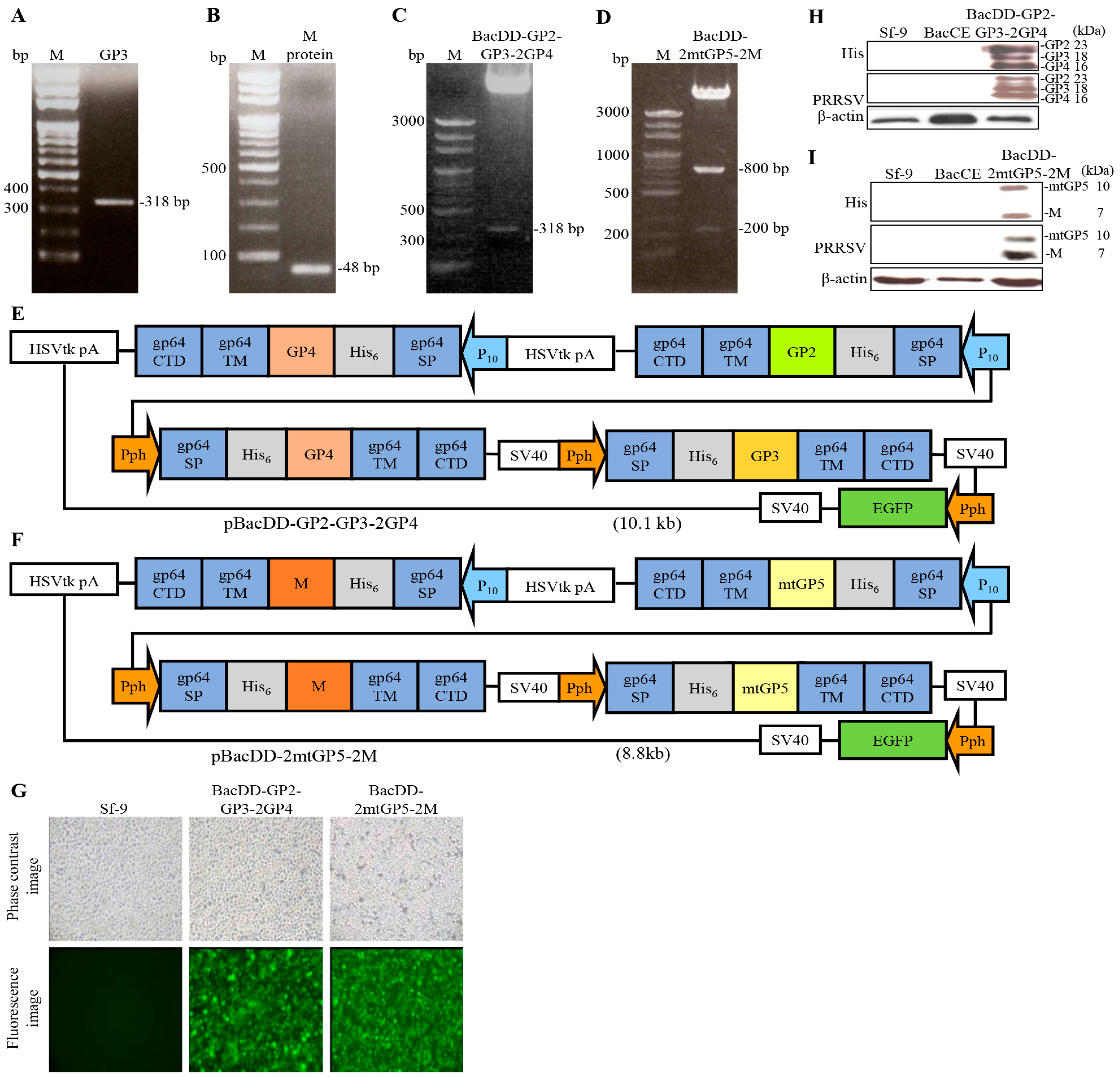 Vaccines 11 01666 g007