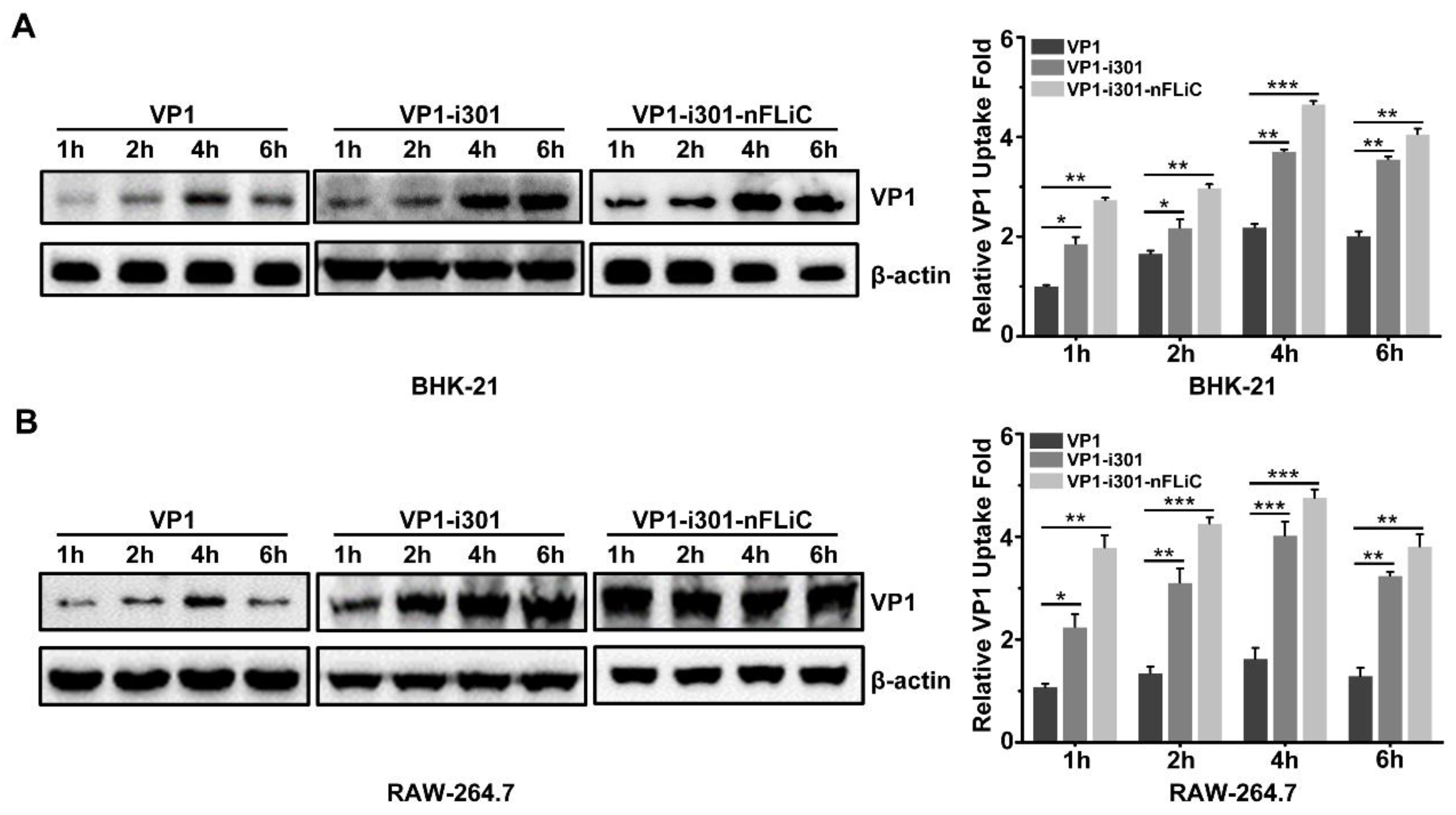 Vaccines 11 01675 g003
